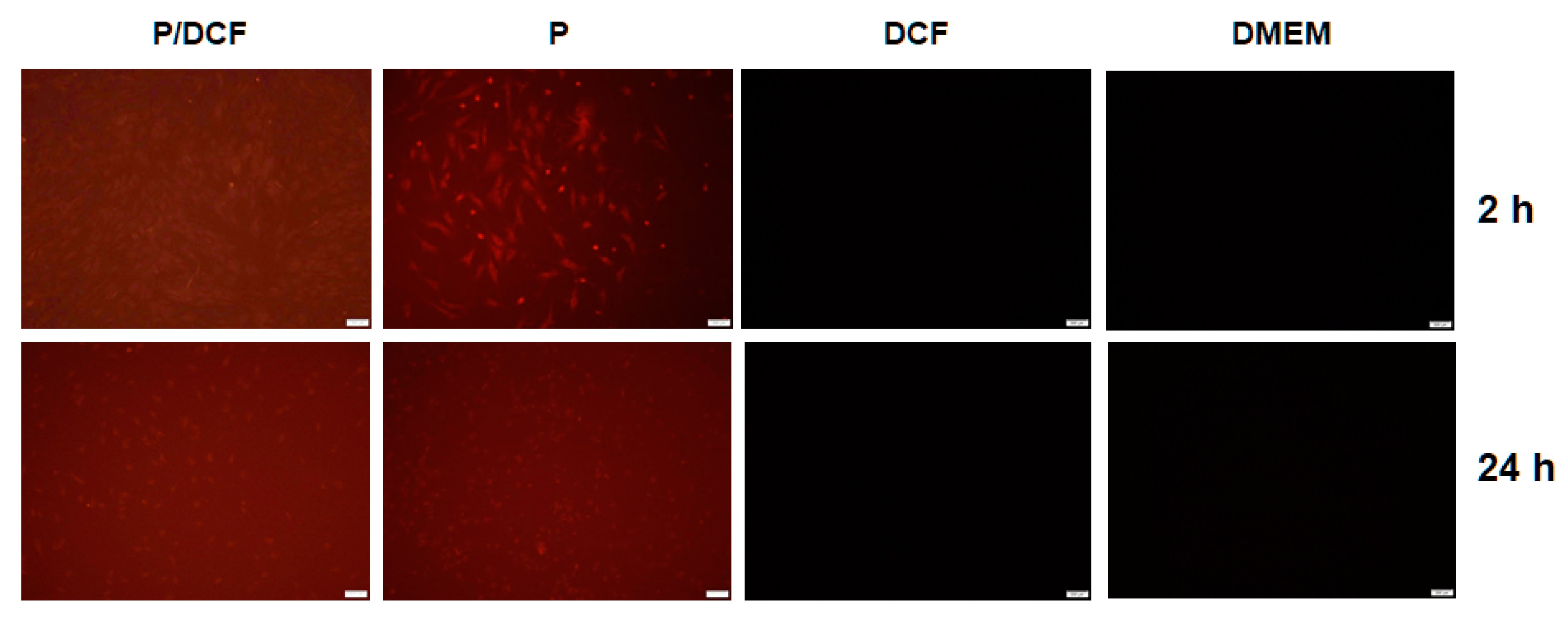 Nanomaterials 10 01712 g006 Nanomaterials 10 01712 g006