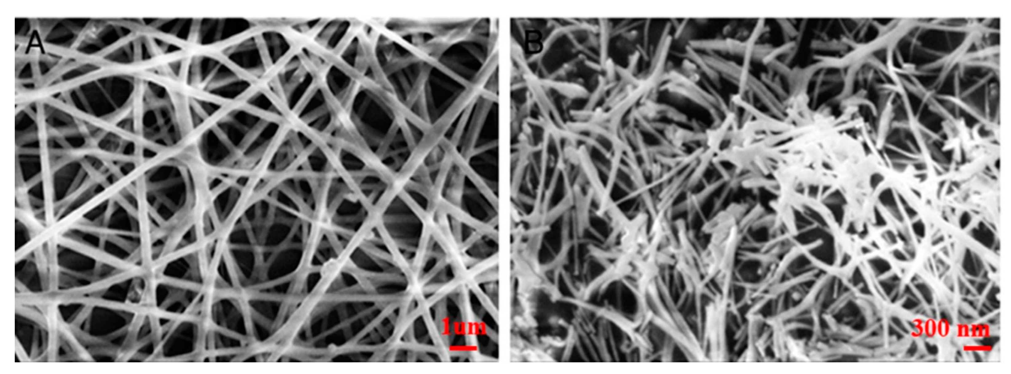 Nanomaterials 10 01719 g004
