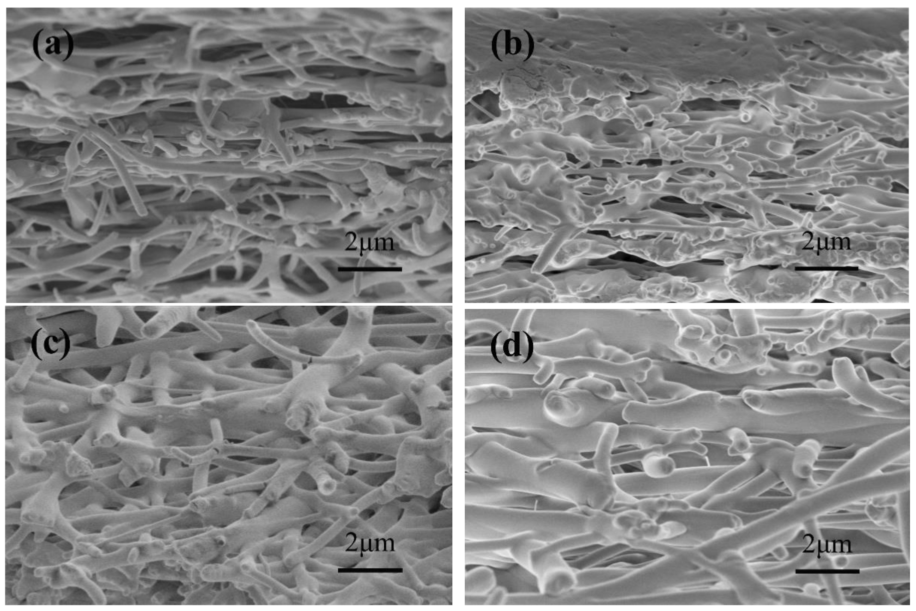 Nanomaterials 10 01723 g005 Nanomaterials 10 01723 g005