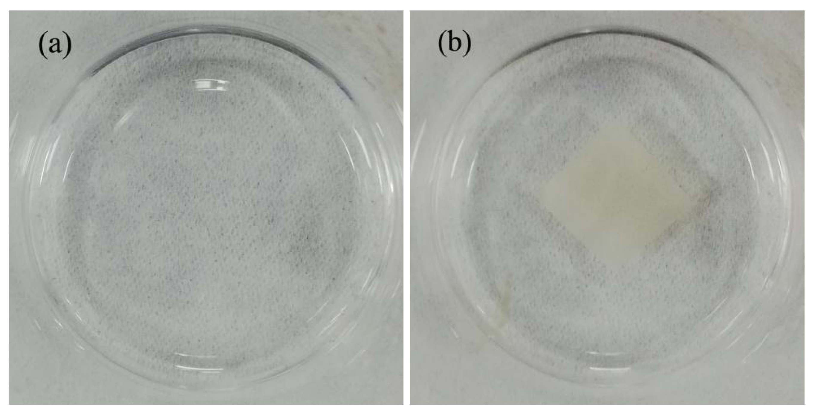 Nanomaterials 10 01723 g009 Nanomaterials 10 01723 g009