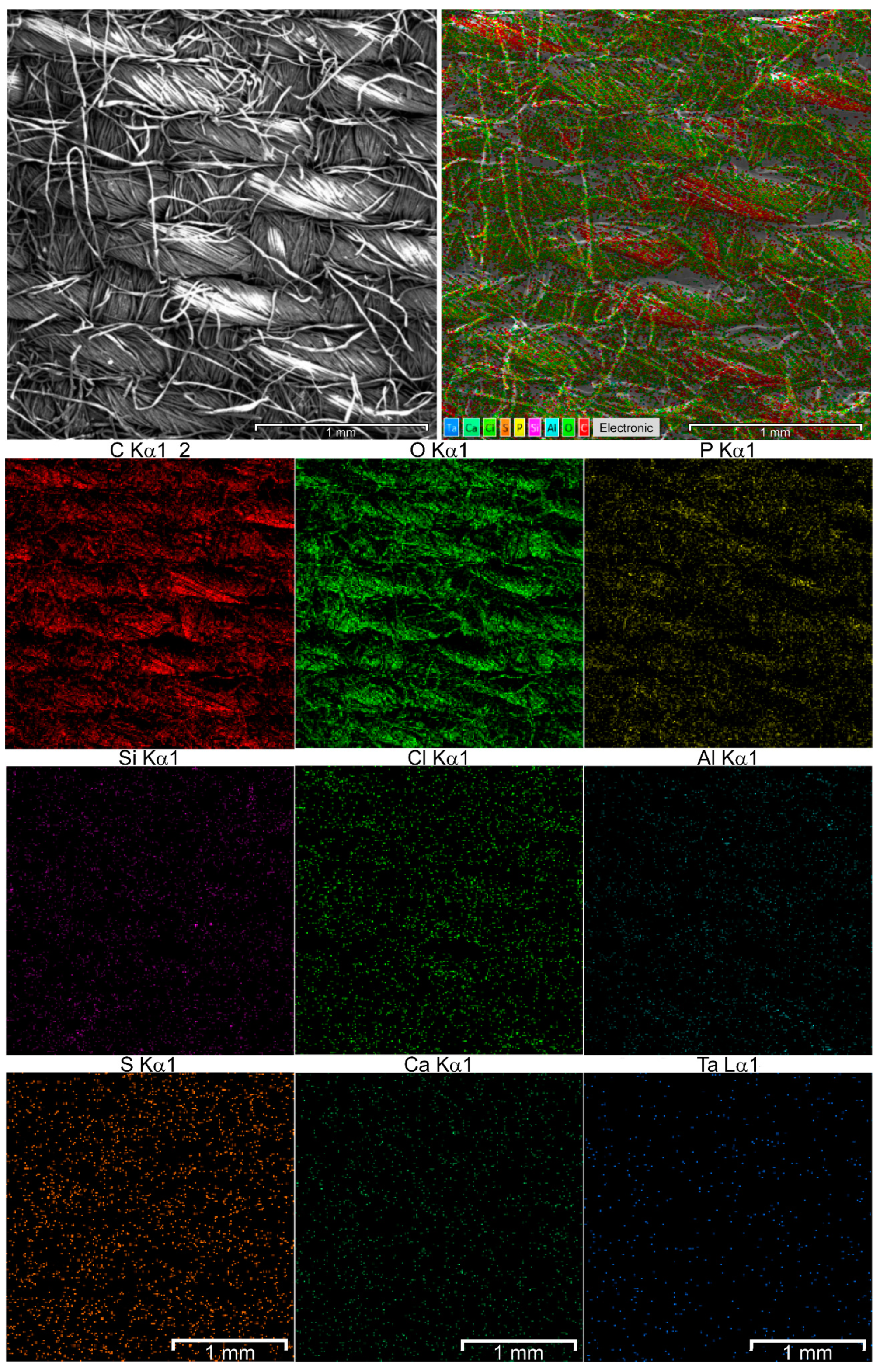 Nanomaterials 10 01724 g002