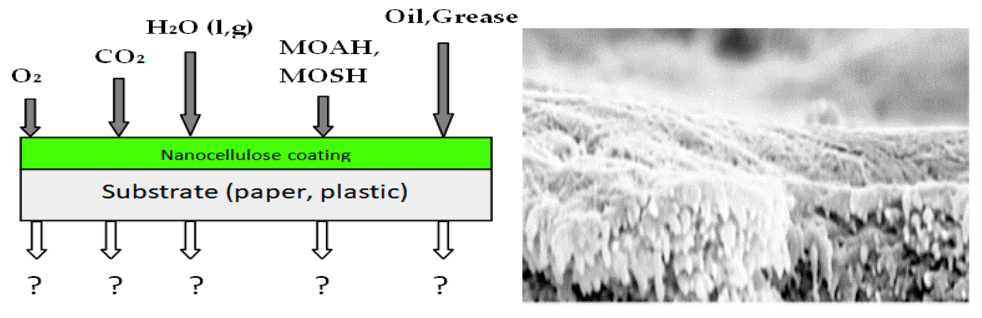 Nanomaterials 10 01726 g005 Nanomaterials 10 01726 g005