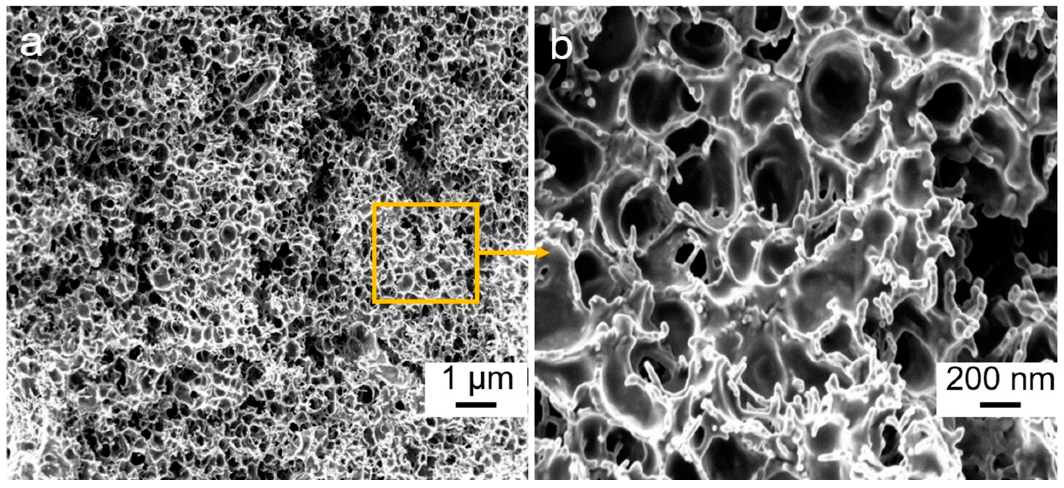 Nanomaterials 10 01729 g003 Nanomaterials 10 01729 g003