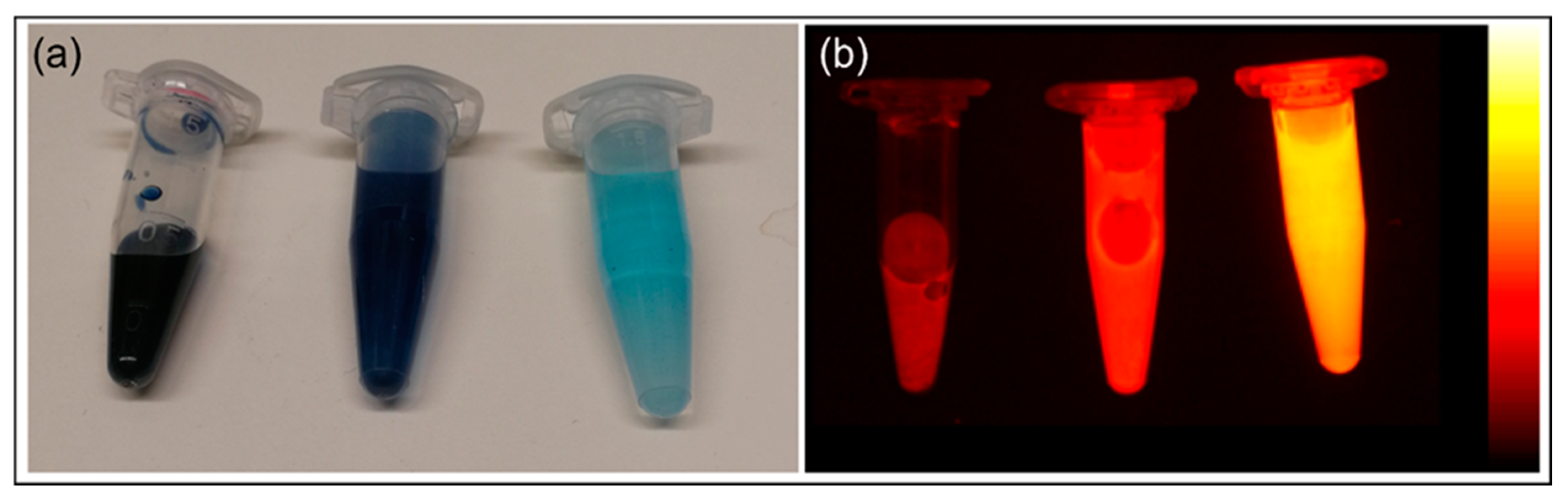 Nanomaterials 10 01732 g003 Nanomaterials 10 01732 g003