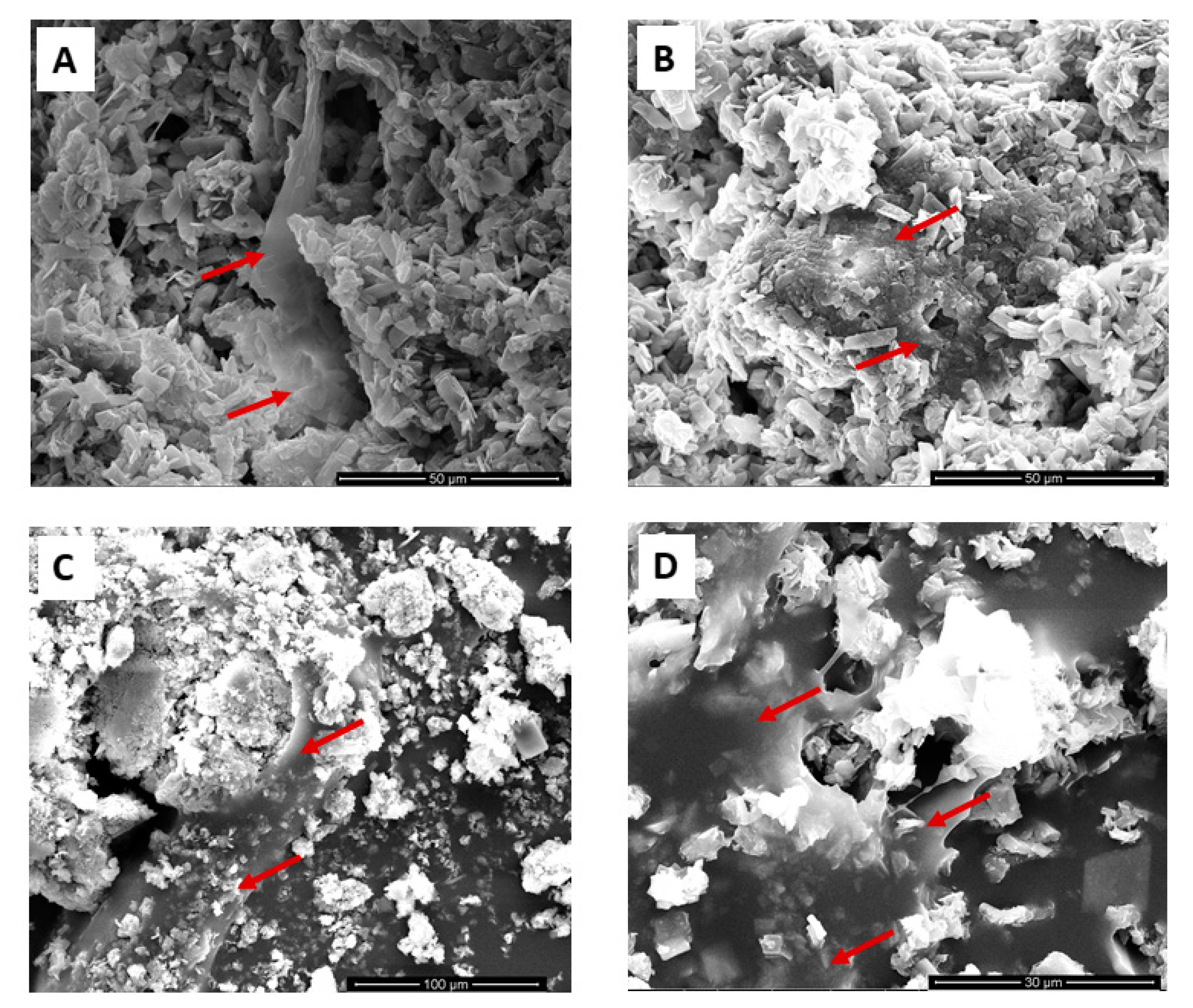 Nanomaterials 10 01743 g006