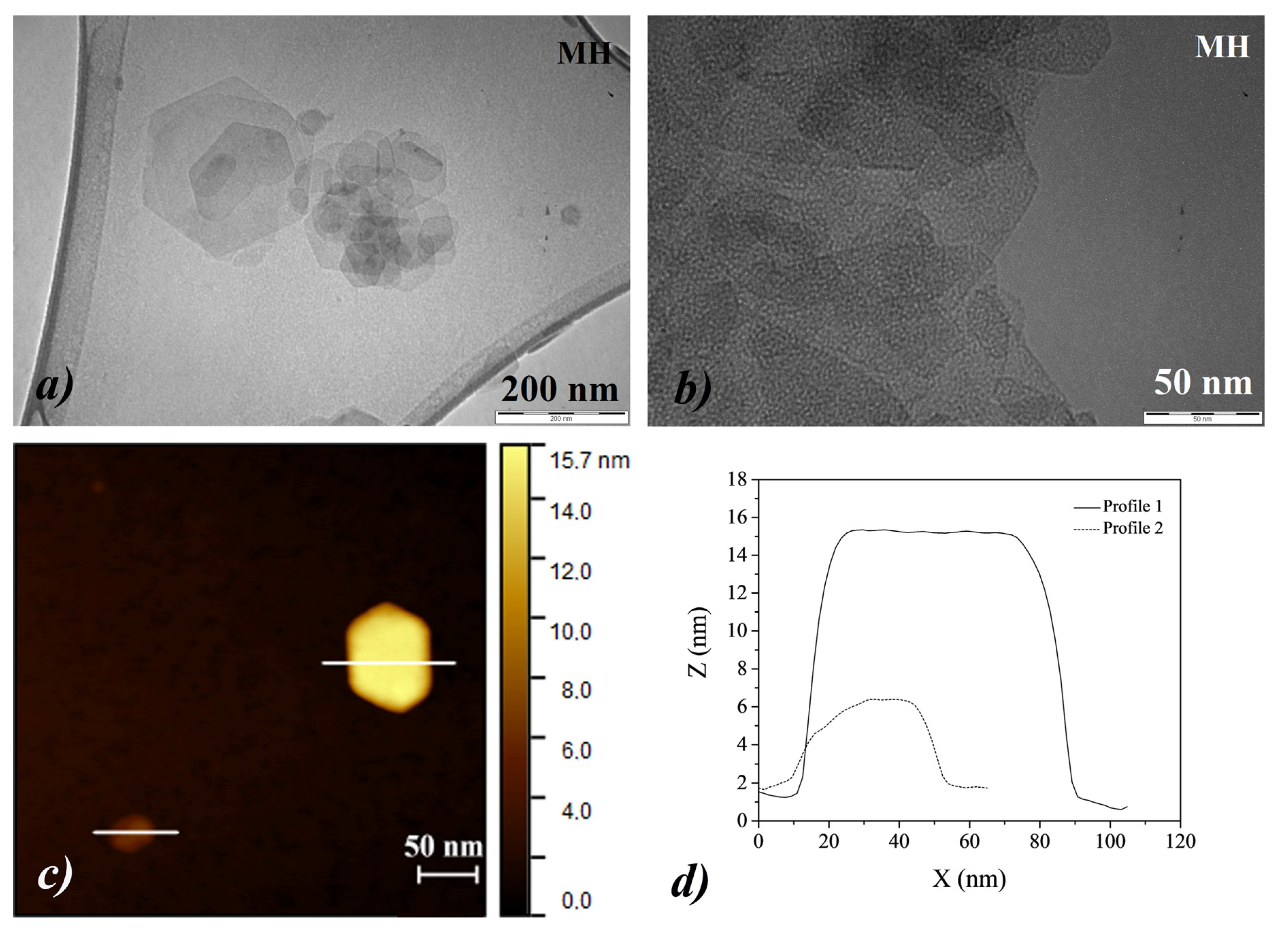 Nanomaterials 10 01744 g006