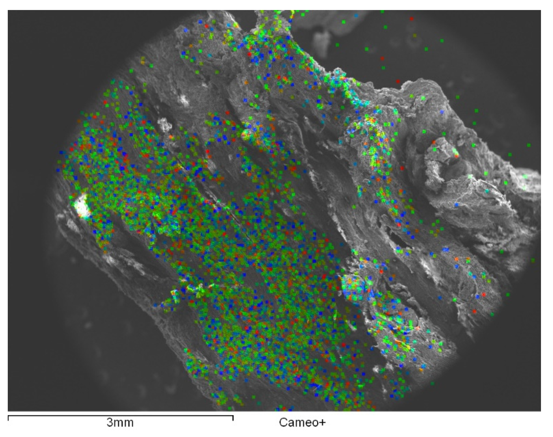 Nanomaterials 10 01744 g010