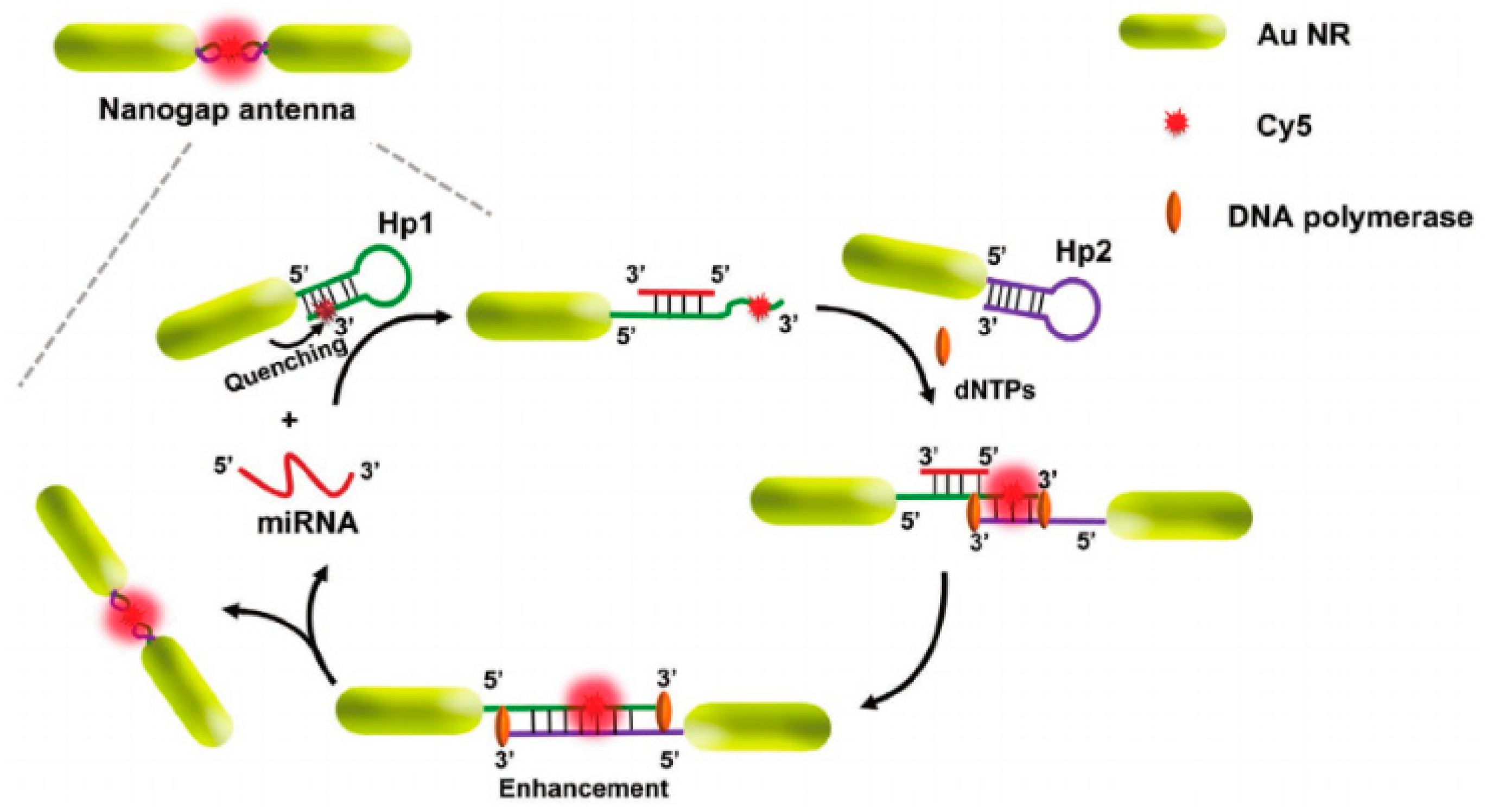 Nanomaterials 10 01749 g003 Nanomaterials 10 01749 g003
