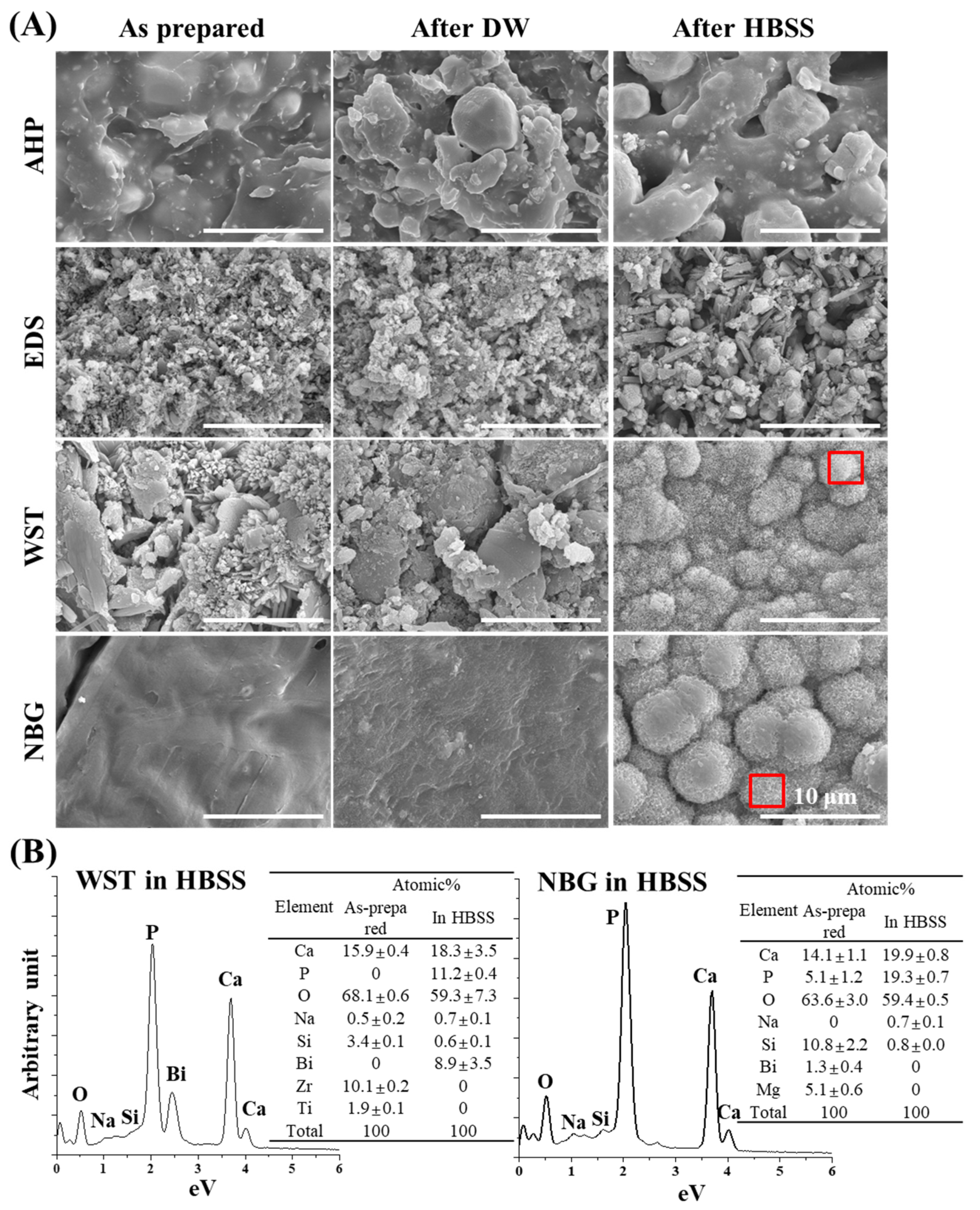 Nanomaterials 10 01750 g001