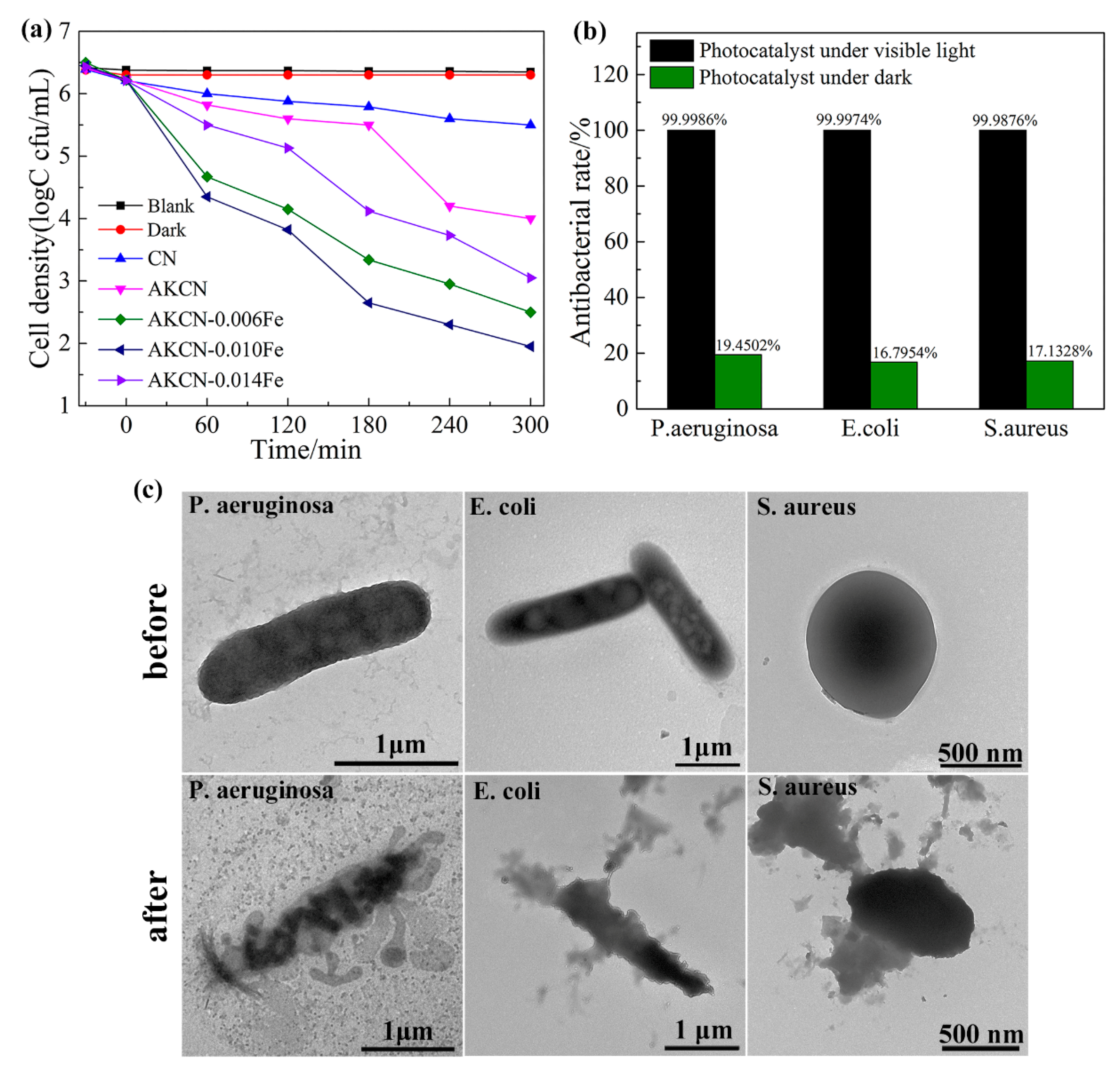 Nanomaterials 10 01751 g008 Nanomaterials 10 01751 g008
