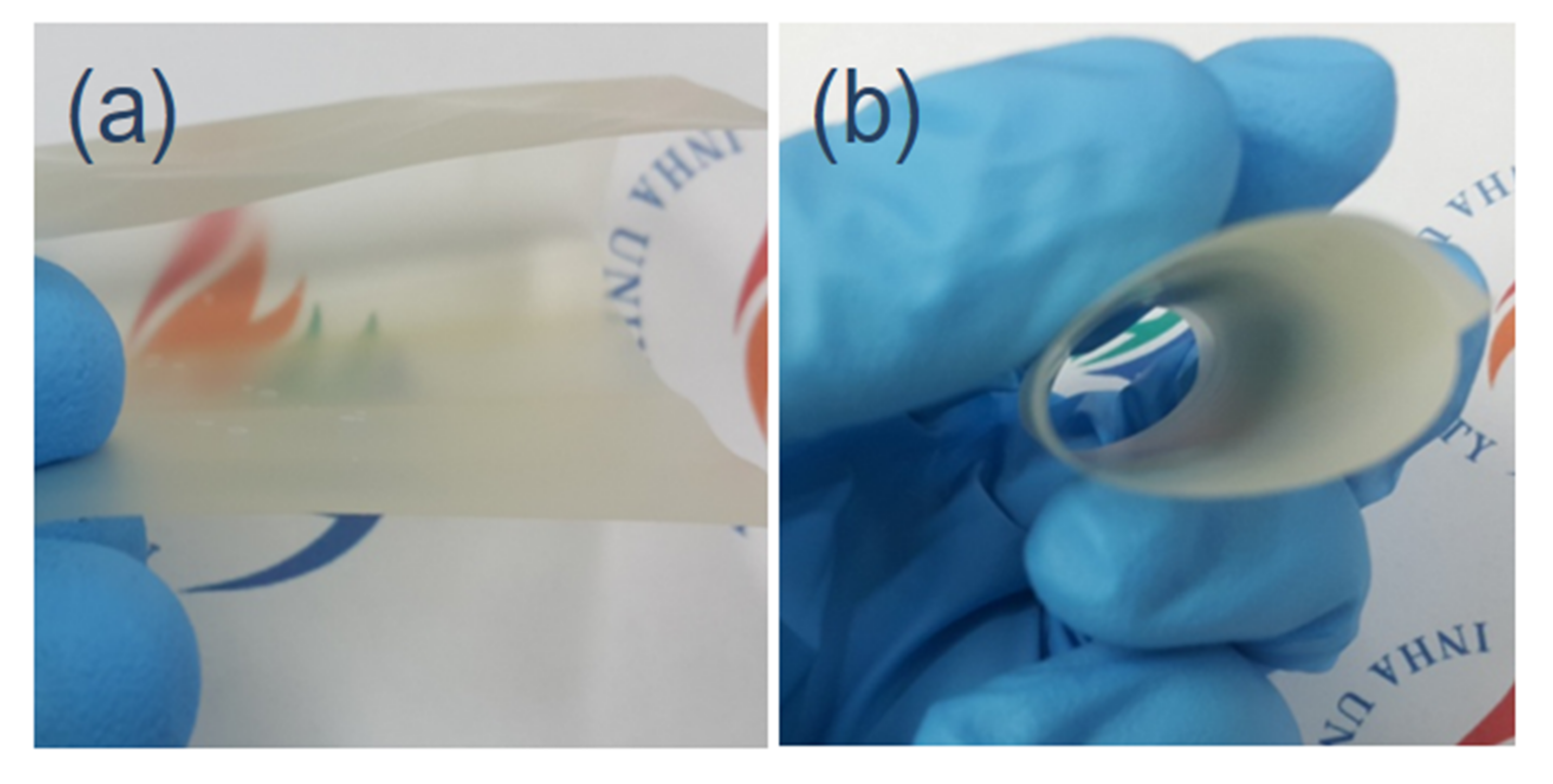 Nanomaterials 10 01752 g005