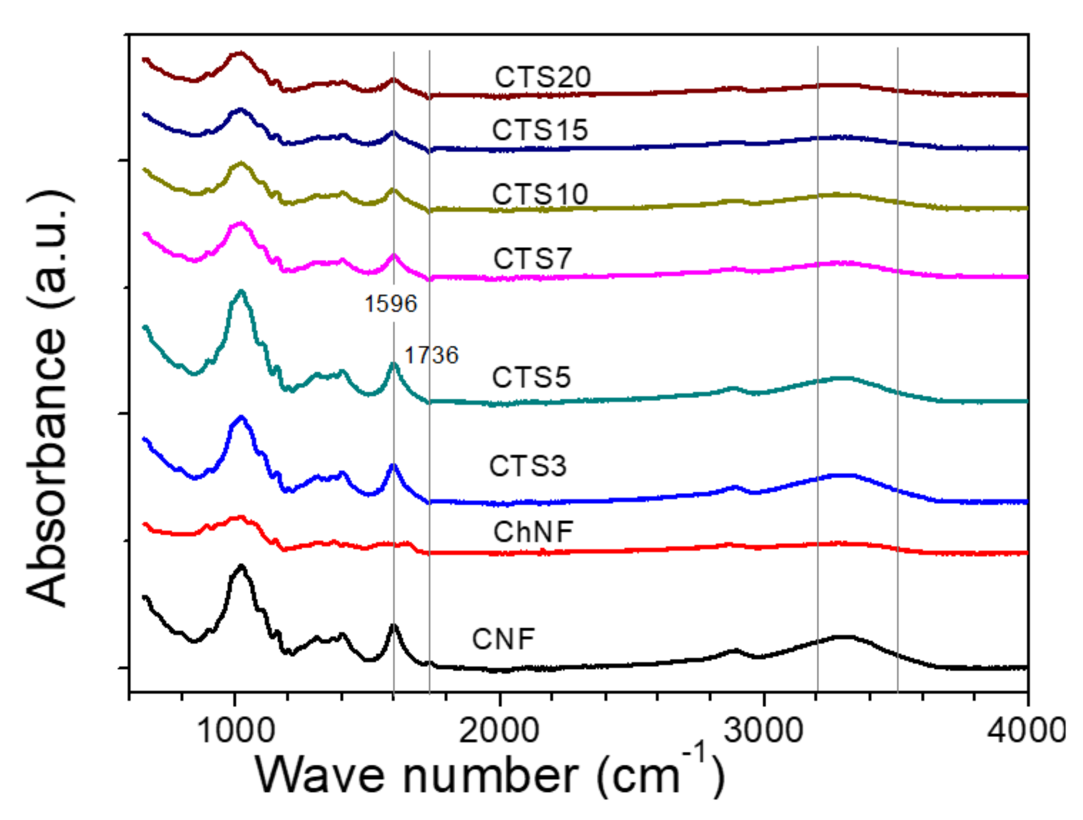 Nanomaterials 10 01752 g006