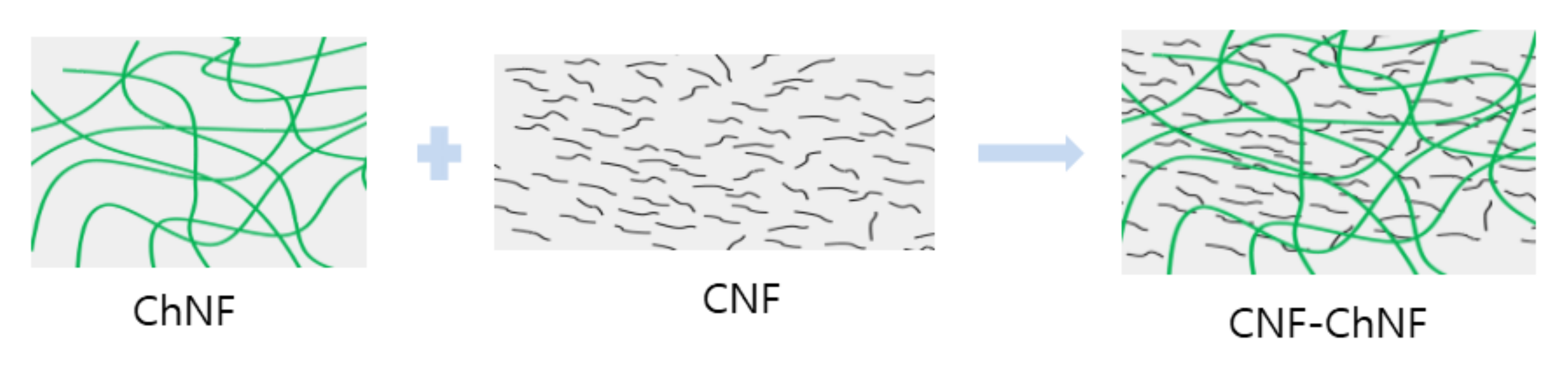 Nanomaterials 10 01752 g008