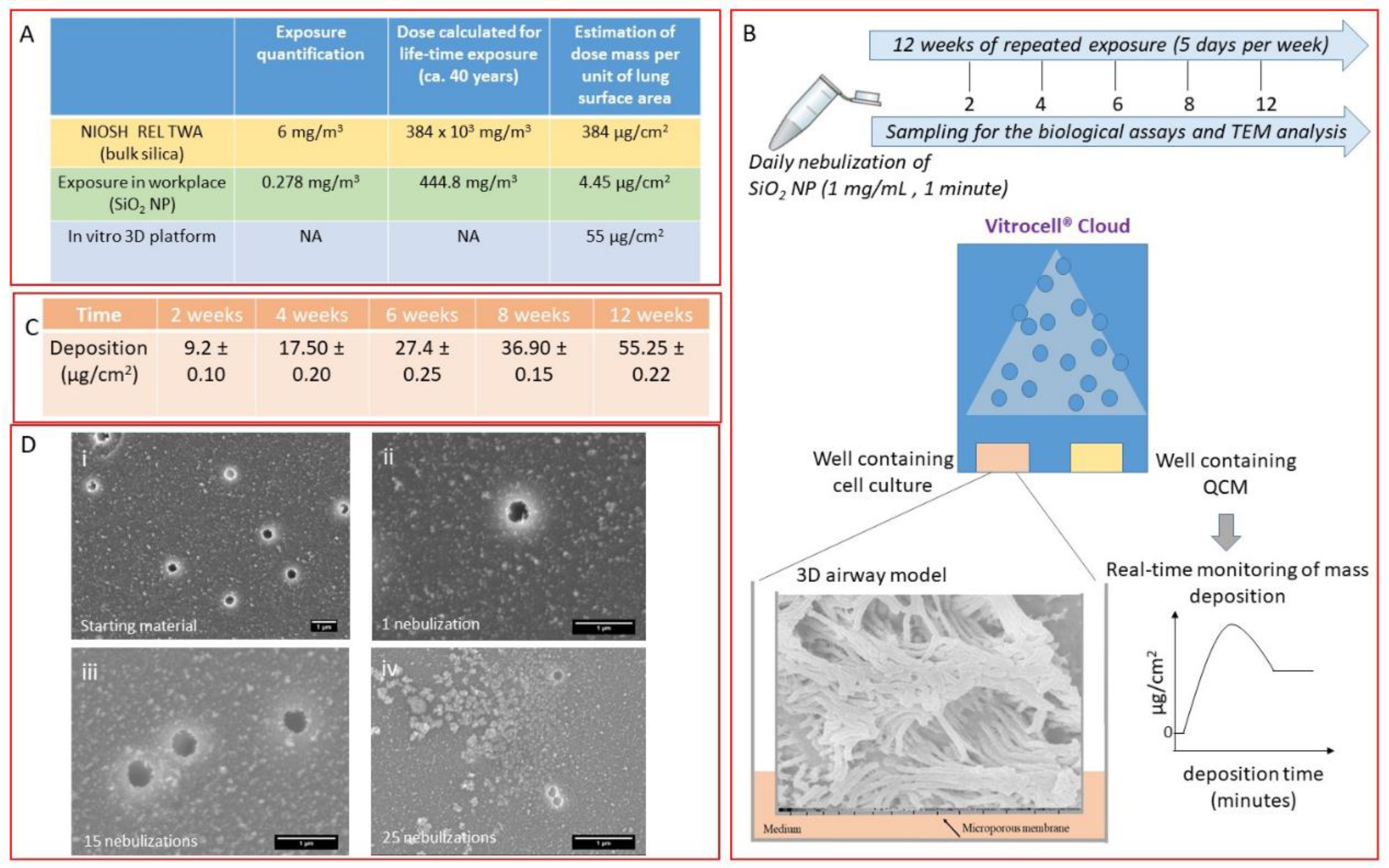 Nanomaterials 10 01761 g001