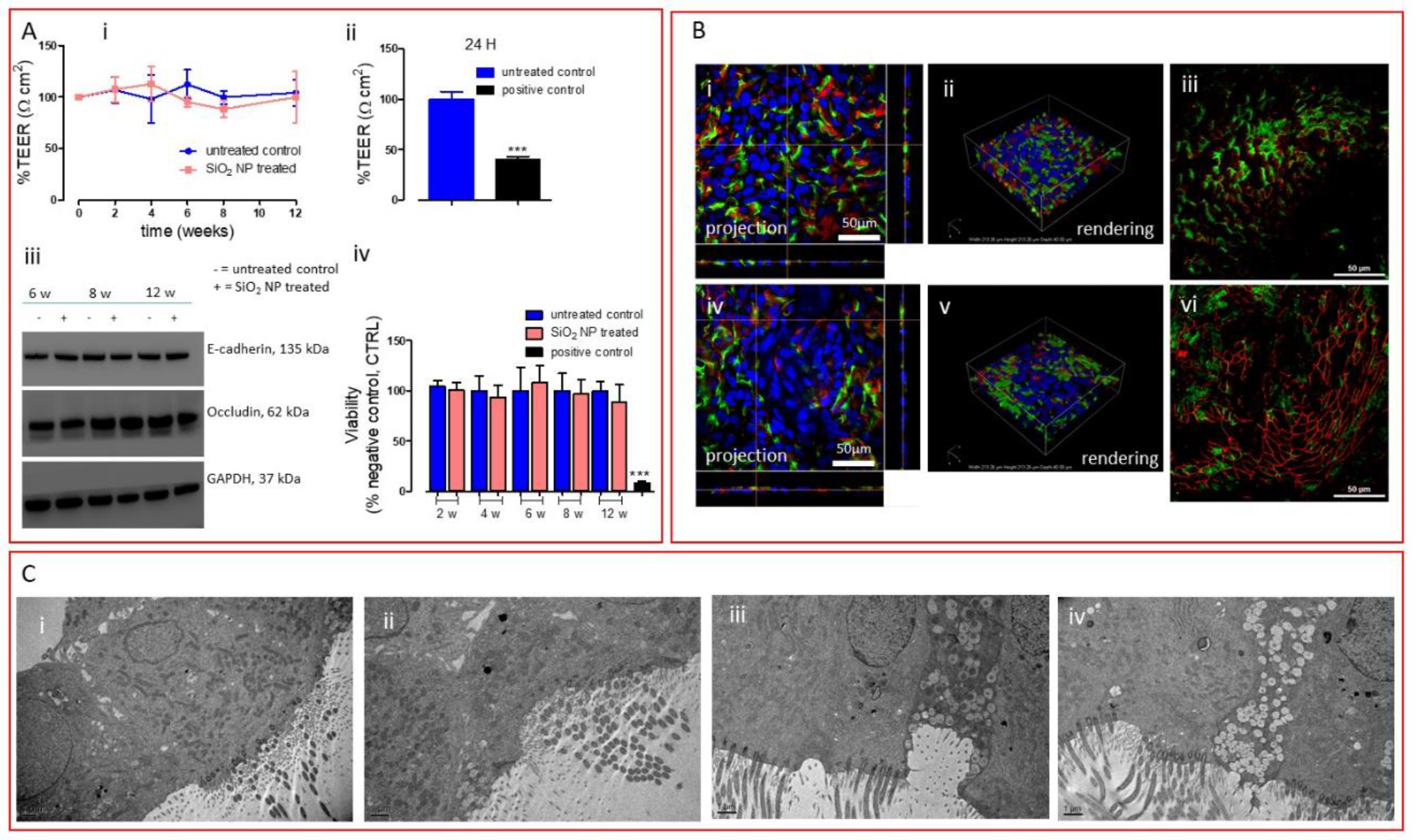 Nanomaterials 10 01761 g002