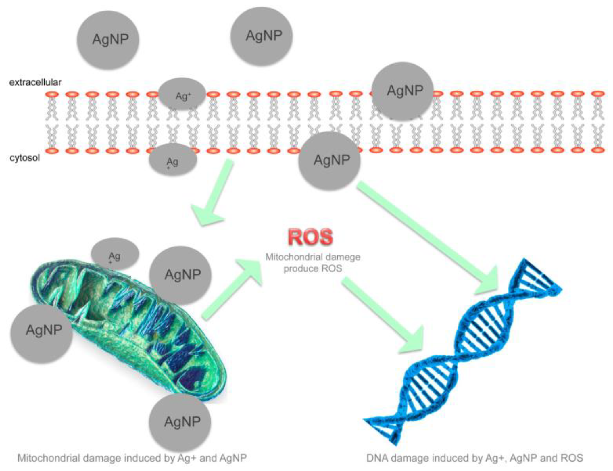 Nanomaterials 10 01763 g003 Nanomaterials 10 01763 g003