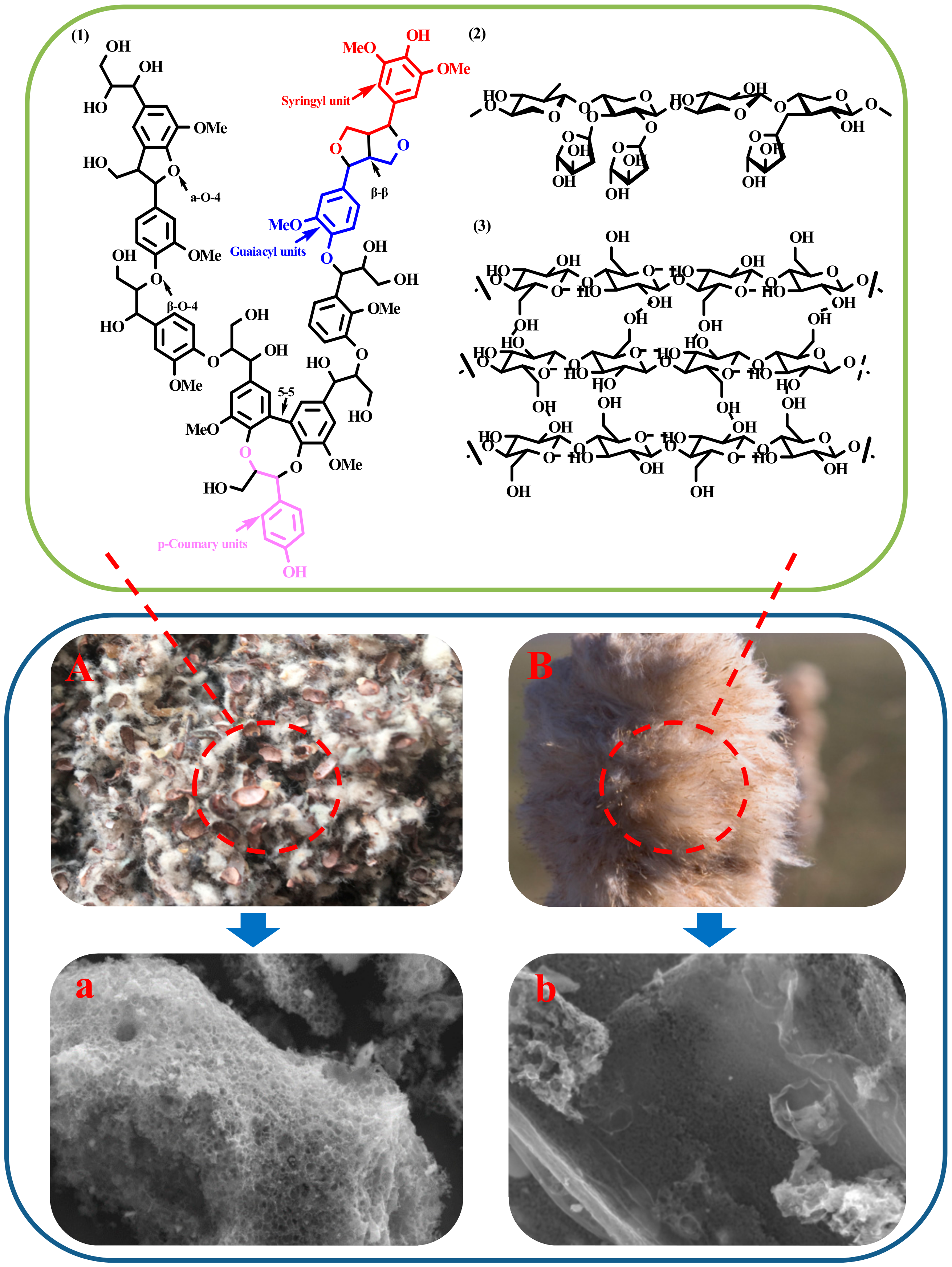 Nanomaterials 10 01765 g001