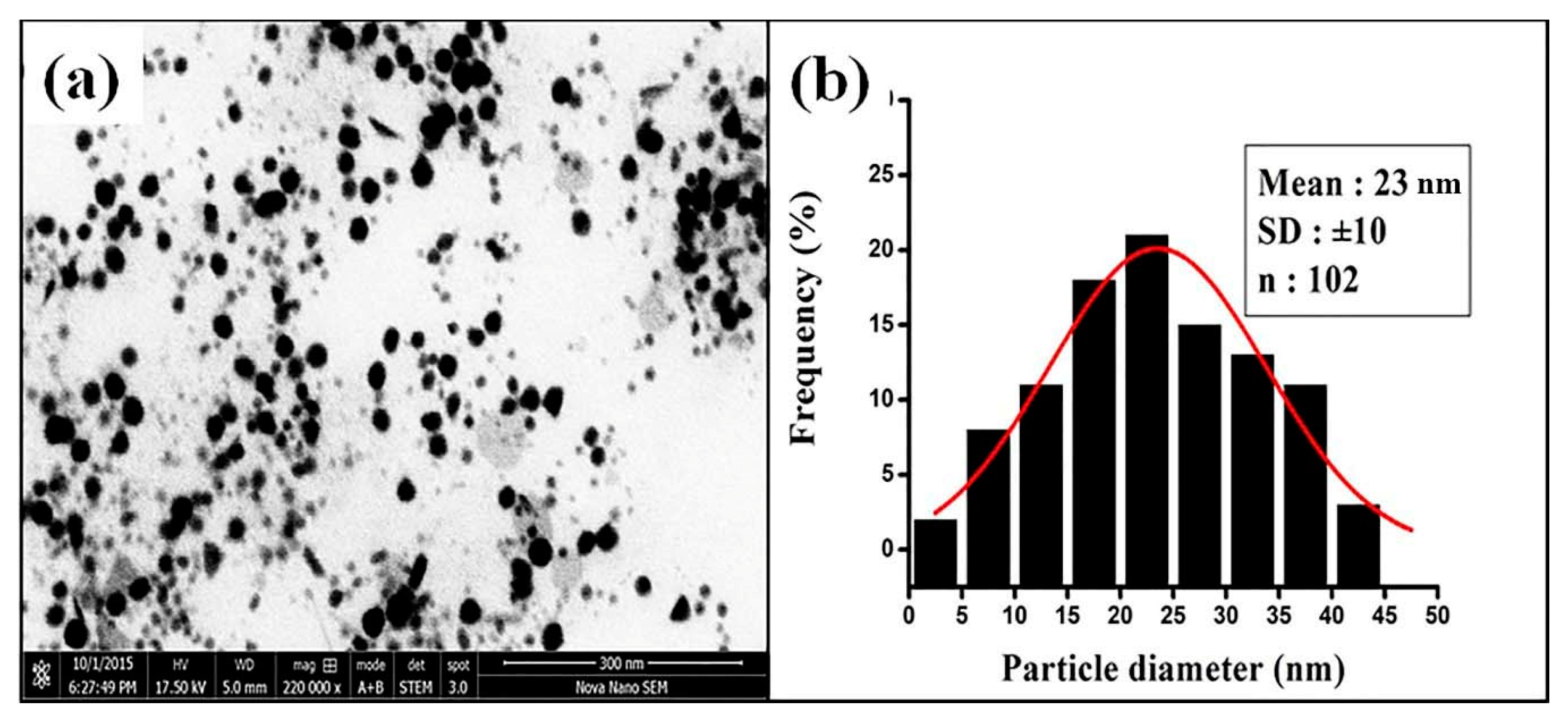 Nanomaterials 10 01769 g006 Nanomaterials 10 01769 g006