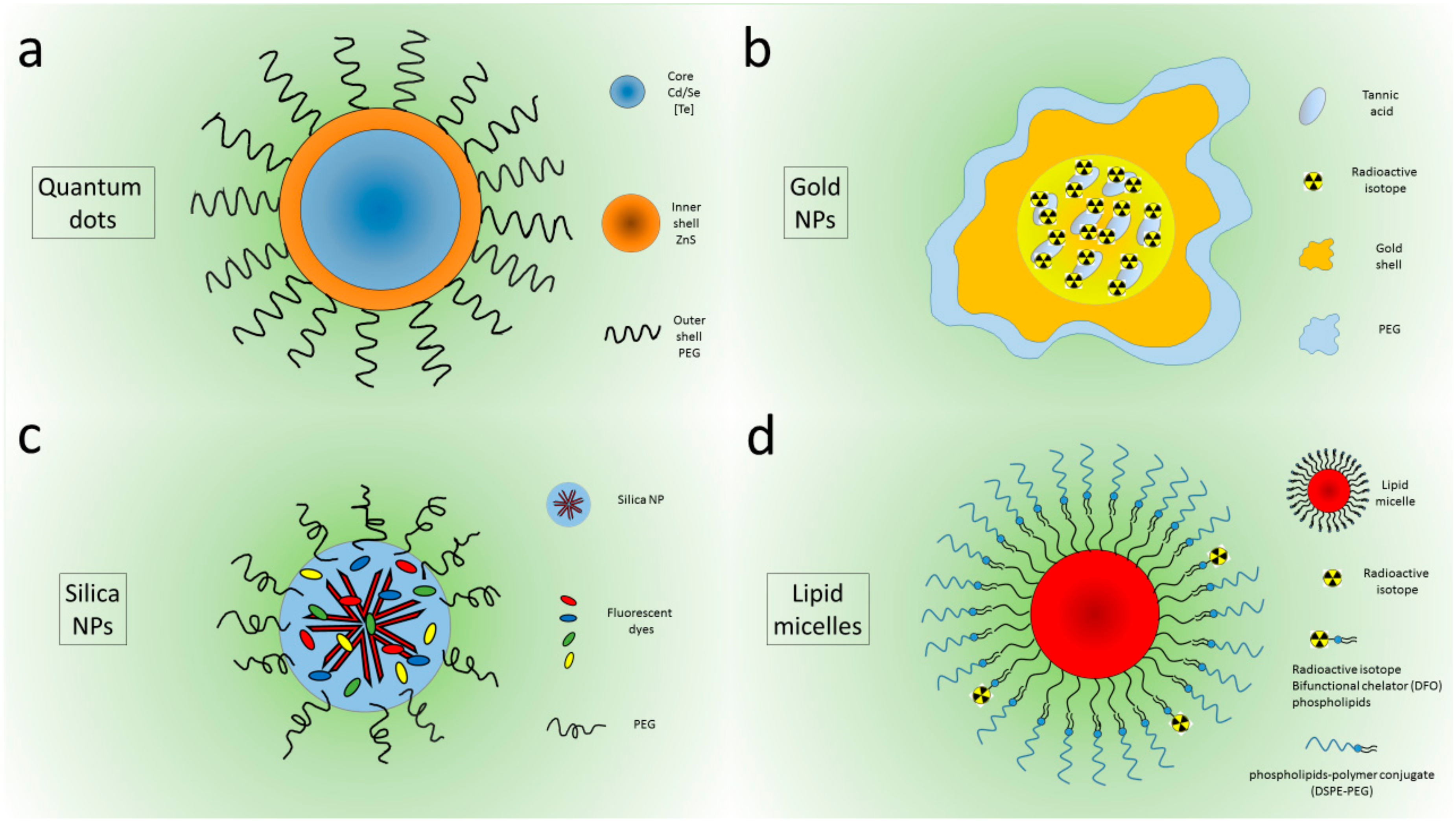 Nanomaterials 10 01771 g002