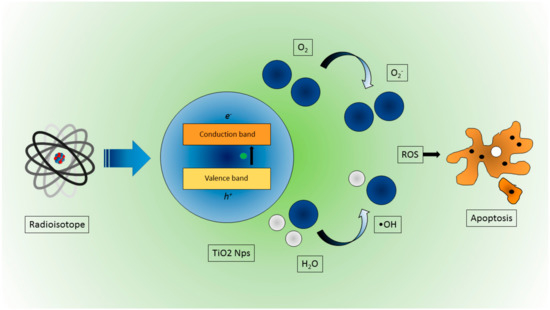 Nanomaterials 10 01771 g004 550