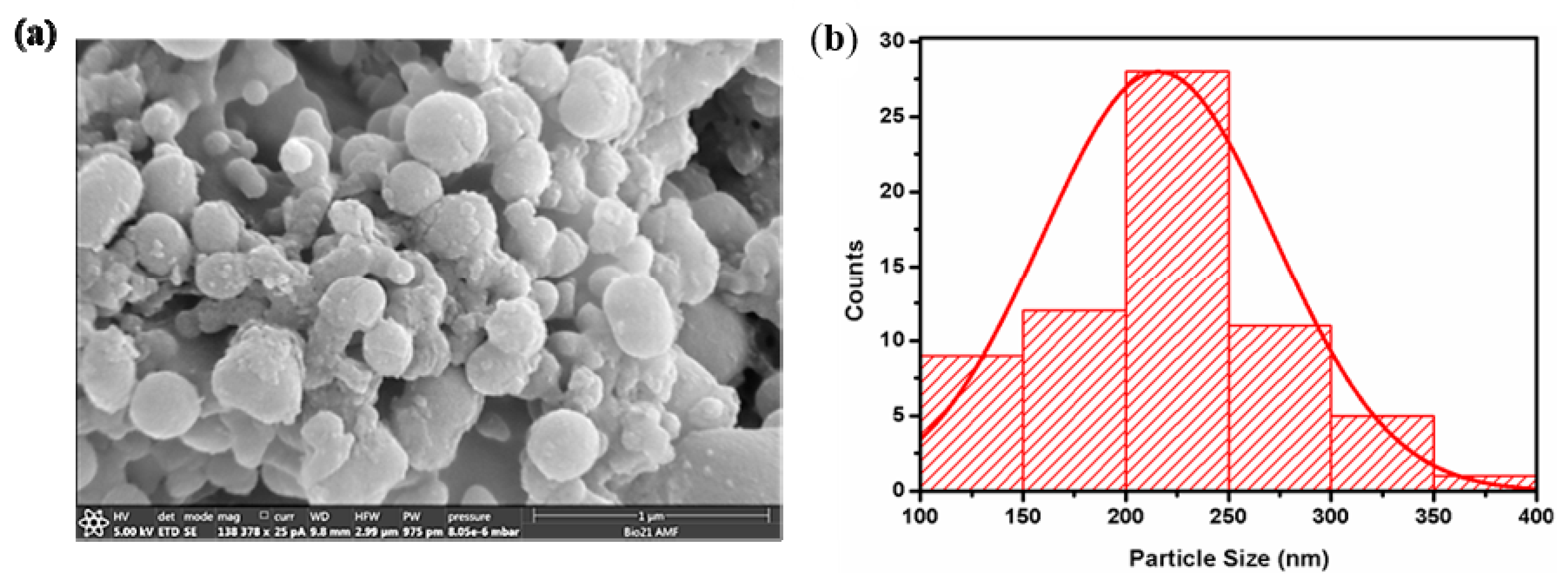Nanomaterials 10 01772 g001