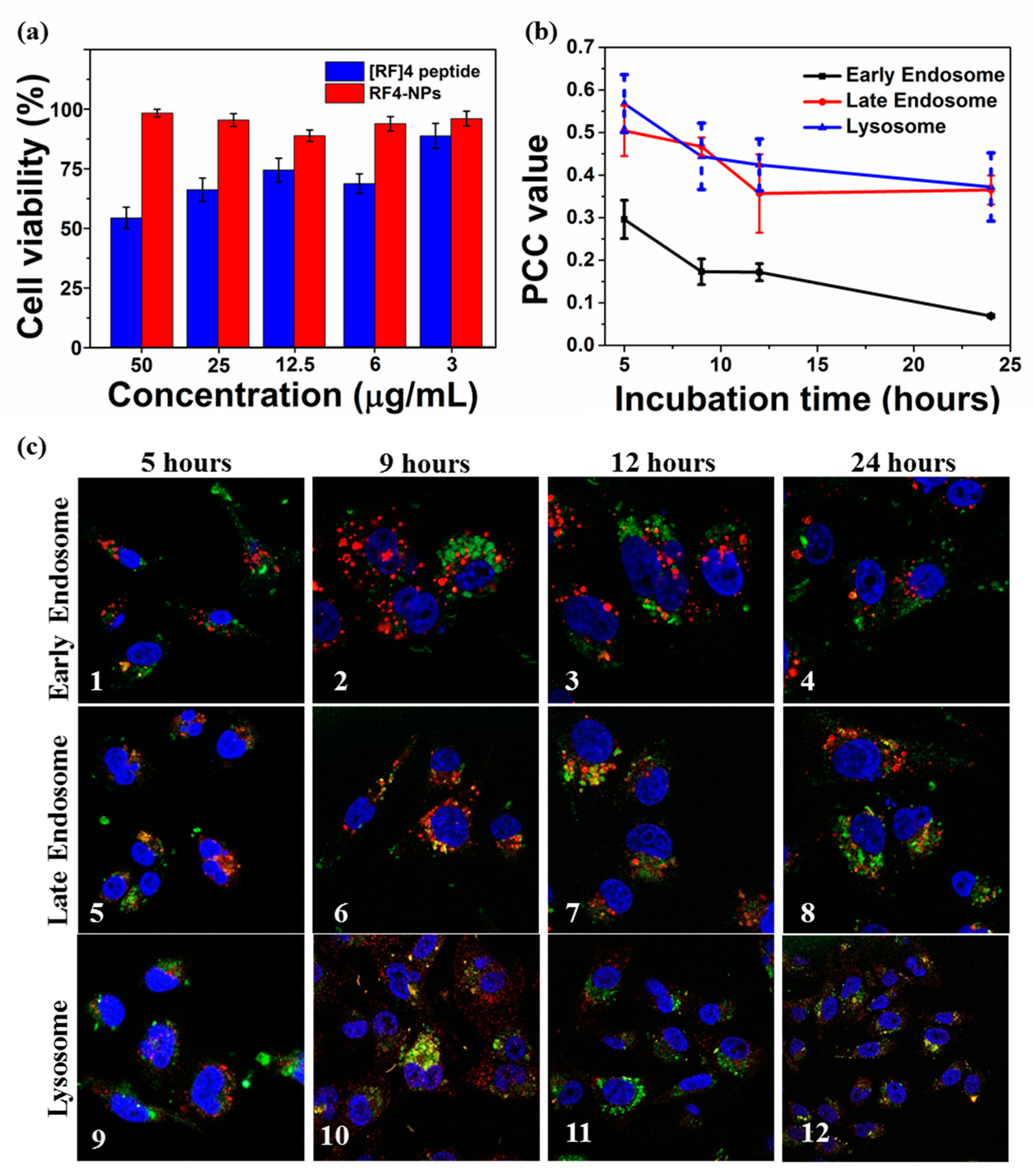 Nanomaterials 10 01772 g006
