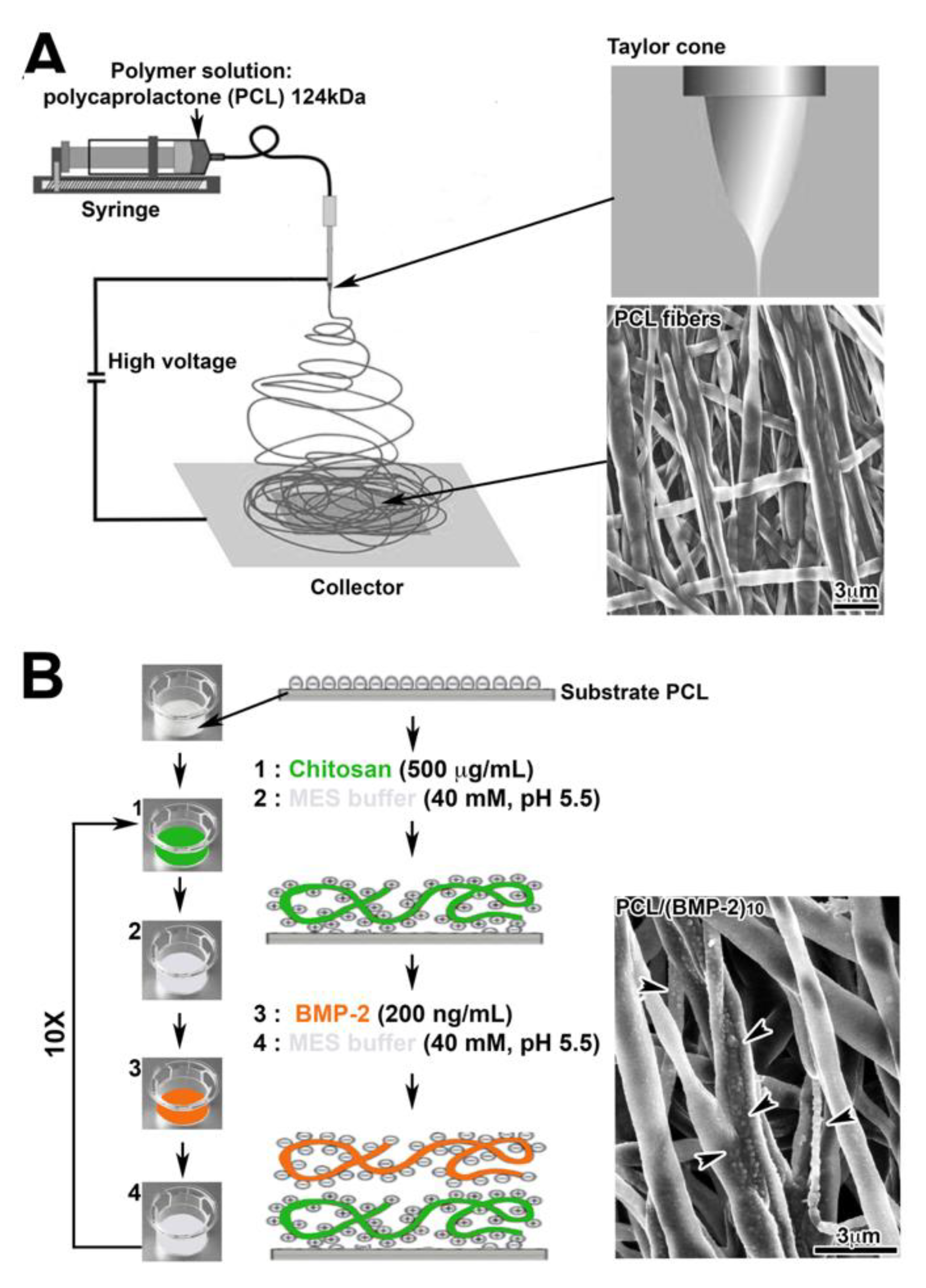 Nanomaterials 10 01774 g001 Nanomaterials 10 01774 g001