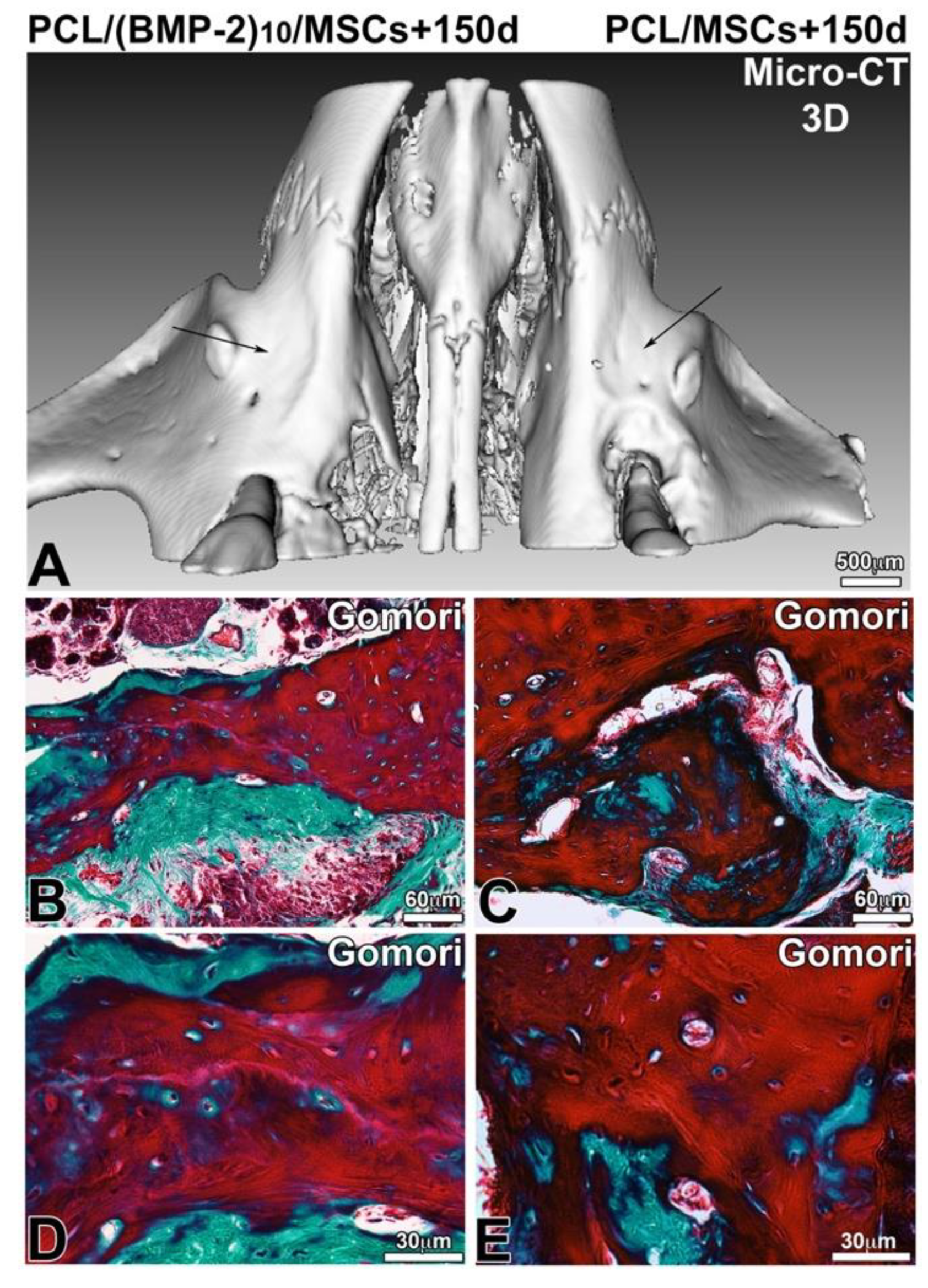 Nanomaterials 10 01774 g007 Nanomaterials 10 01774 g007