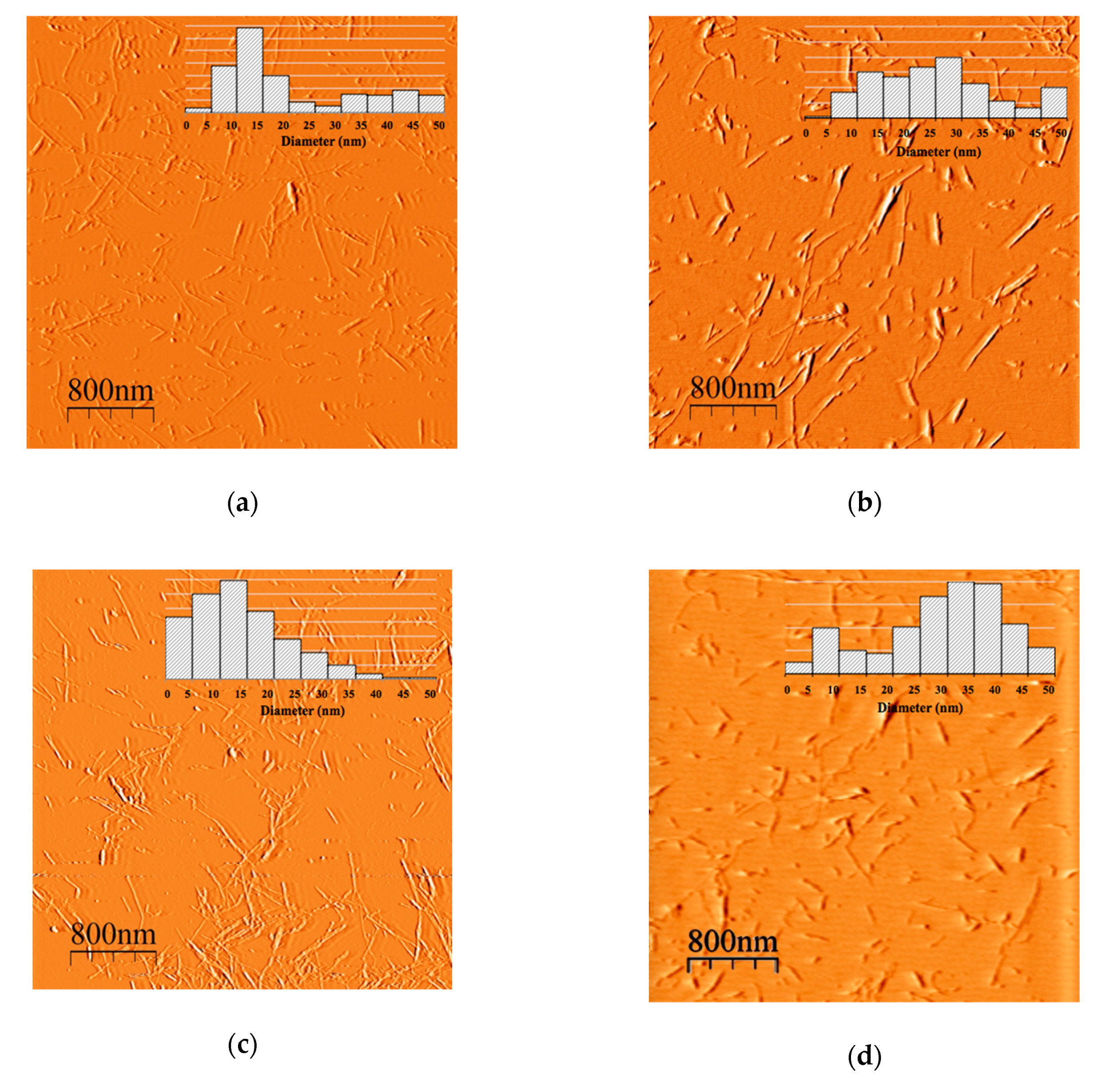 Nanomaterials 10 01775 g002a