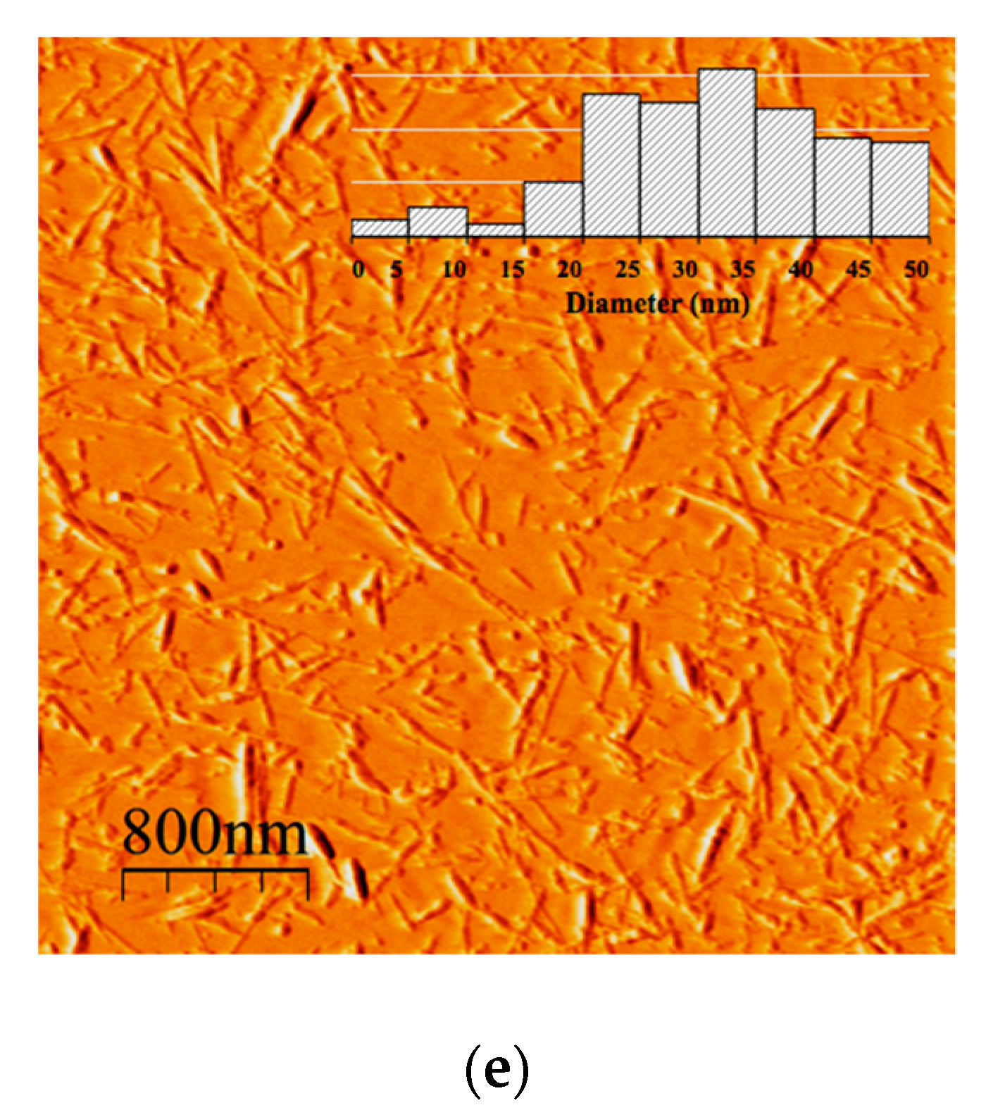 Nanomaterials 10 01775 g002b