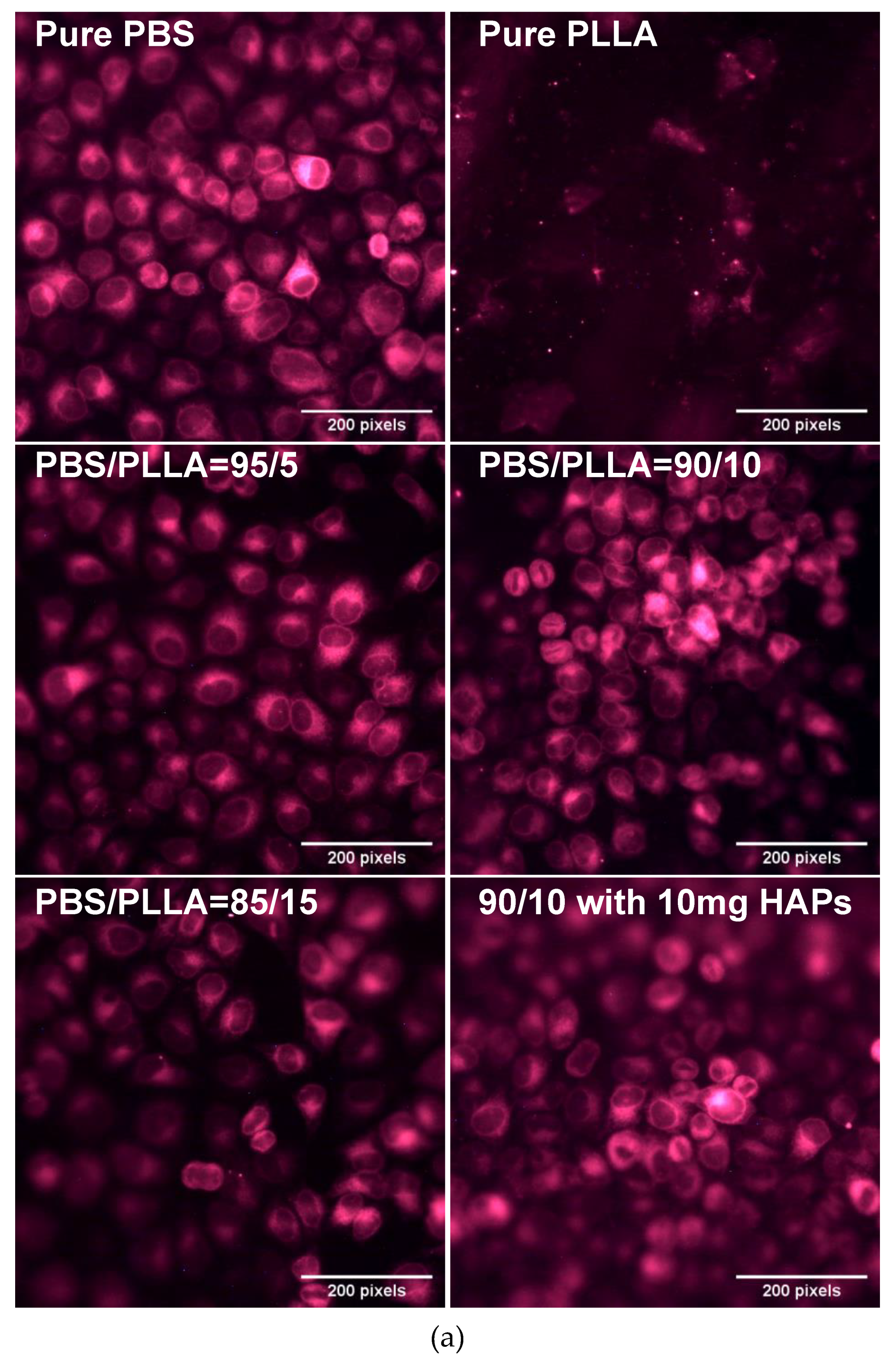 Nanomaterials 10 01778 g009a Nanomaterials 10 01778 g009a
