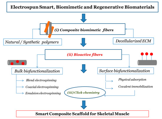 Nanomaterials 10 01781 g001 550