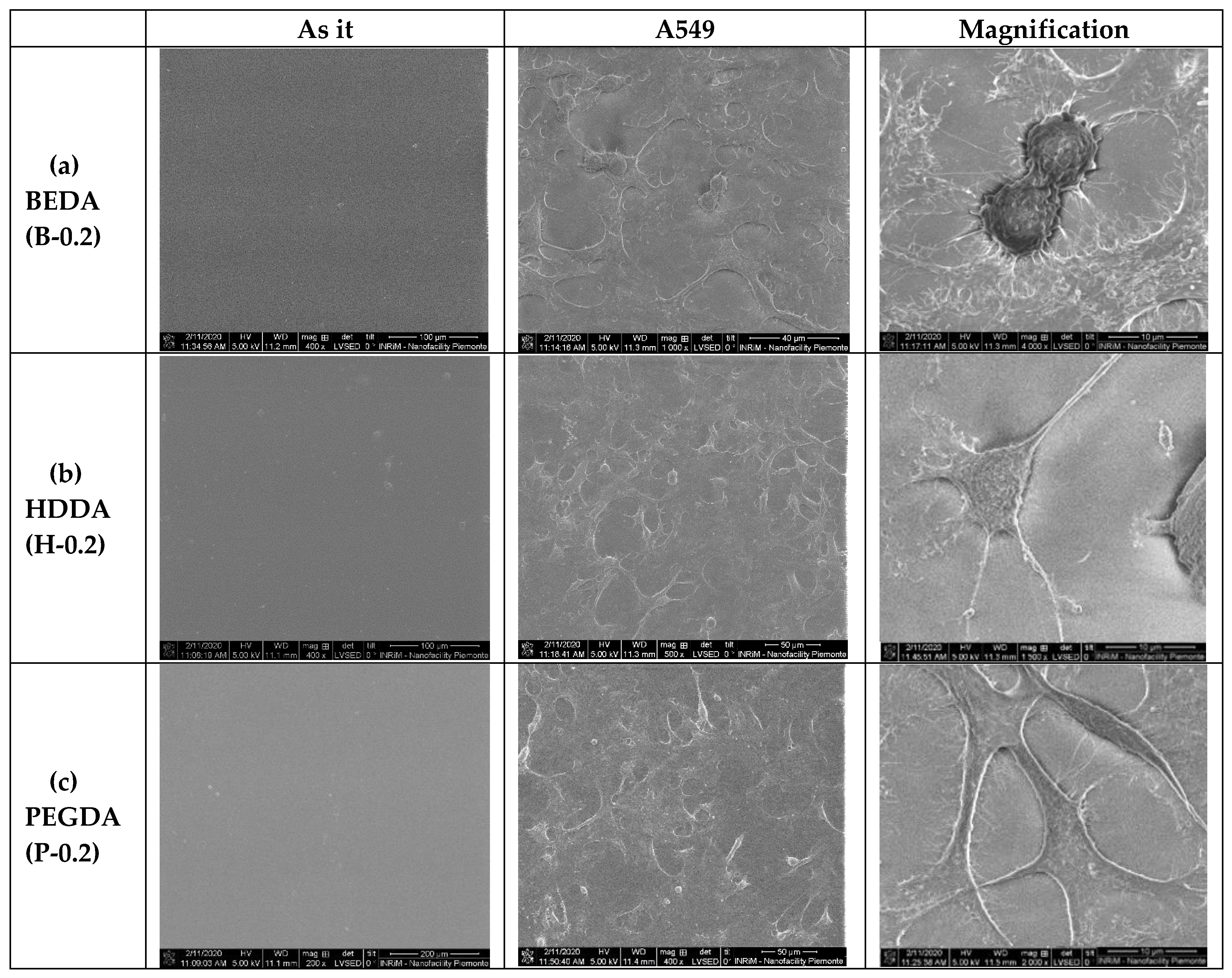 Nanomaterials 10 01788 g004 Nanomaterials 10 01788 g004