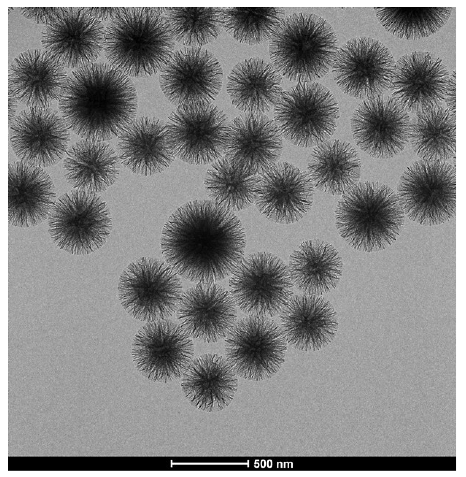 Nanomaterials 10 01799 g002 Nanomaterials 10 01799 g002