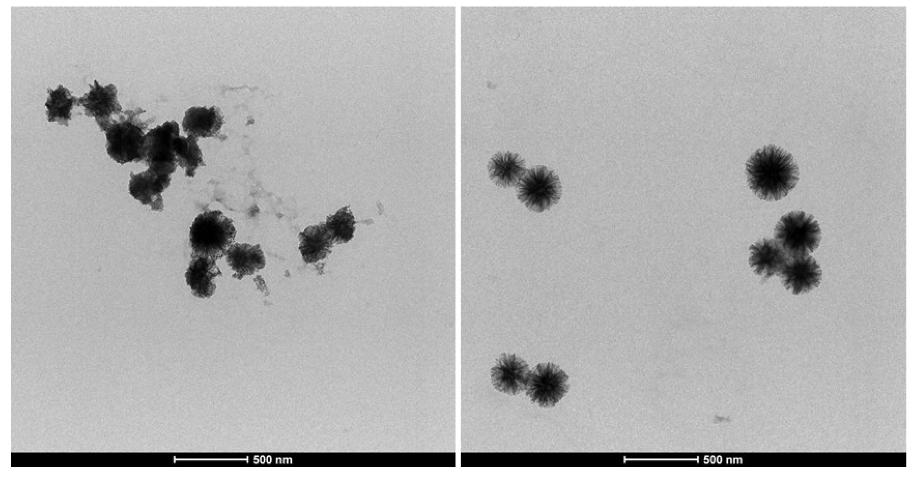 Nanomaterials 10 01799 g010 Nanomaterials 10 01799 g010
