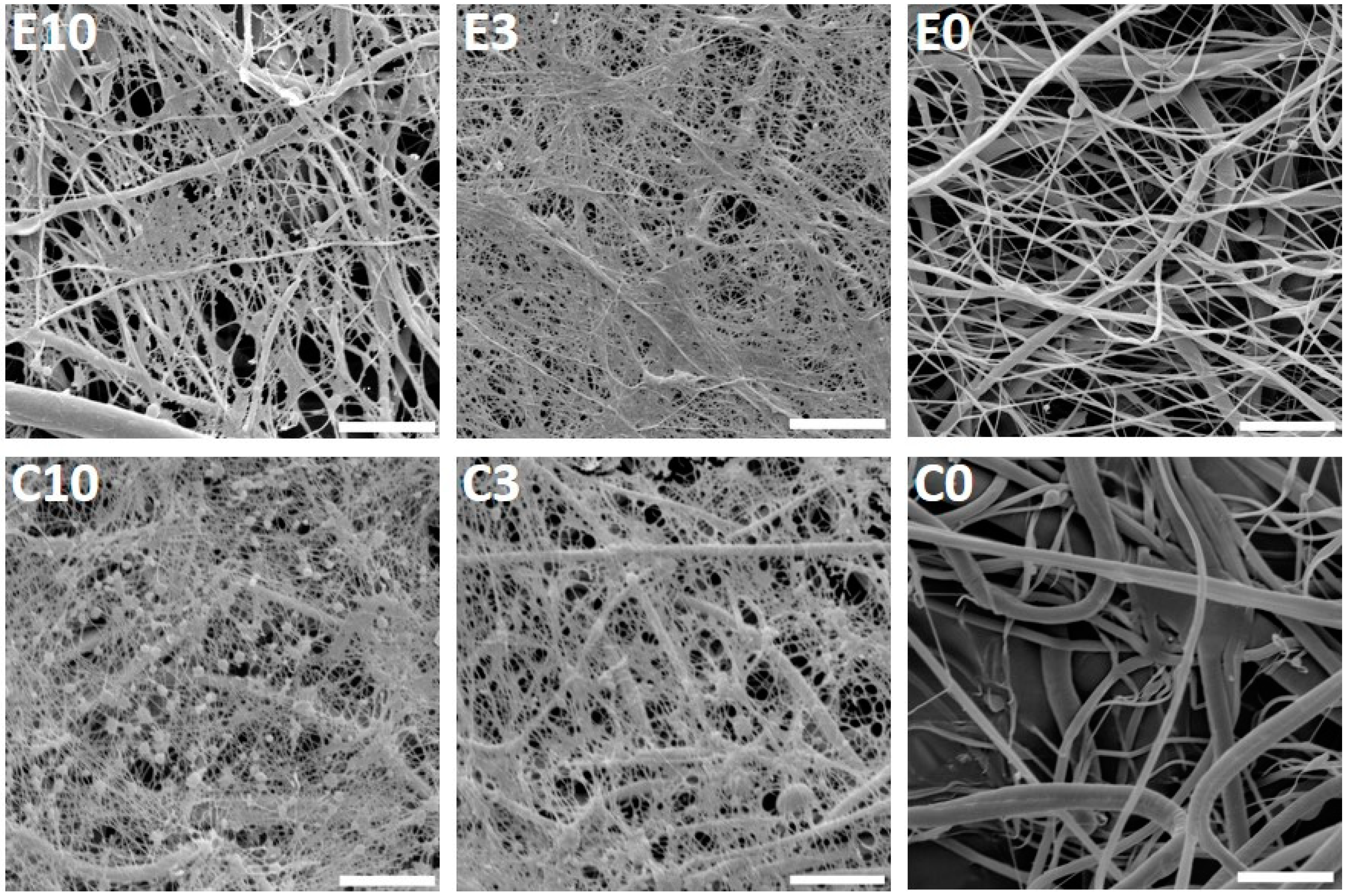 Nanomaterials 10 01801 g002