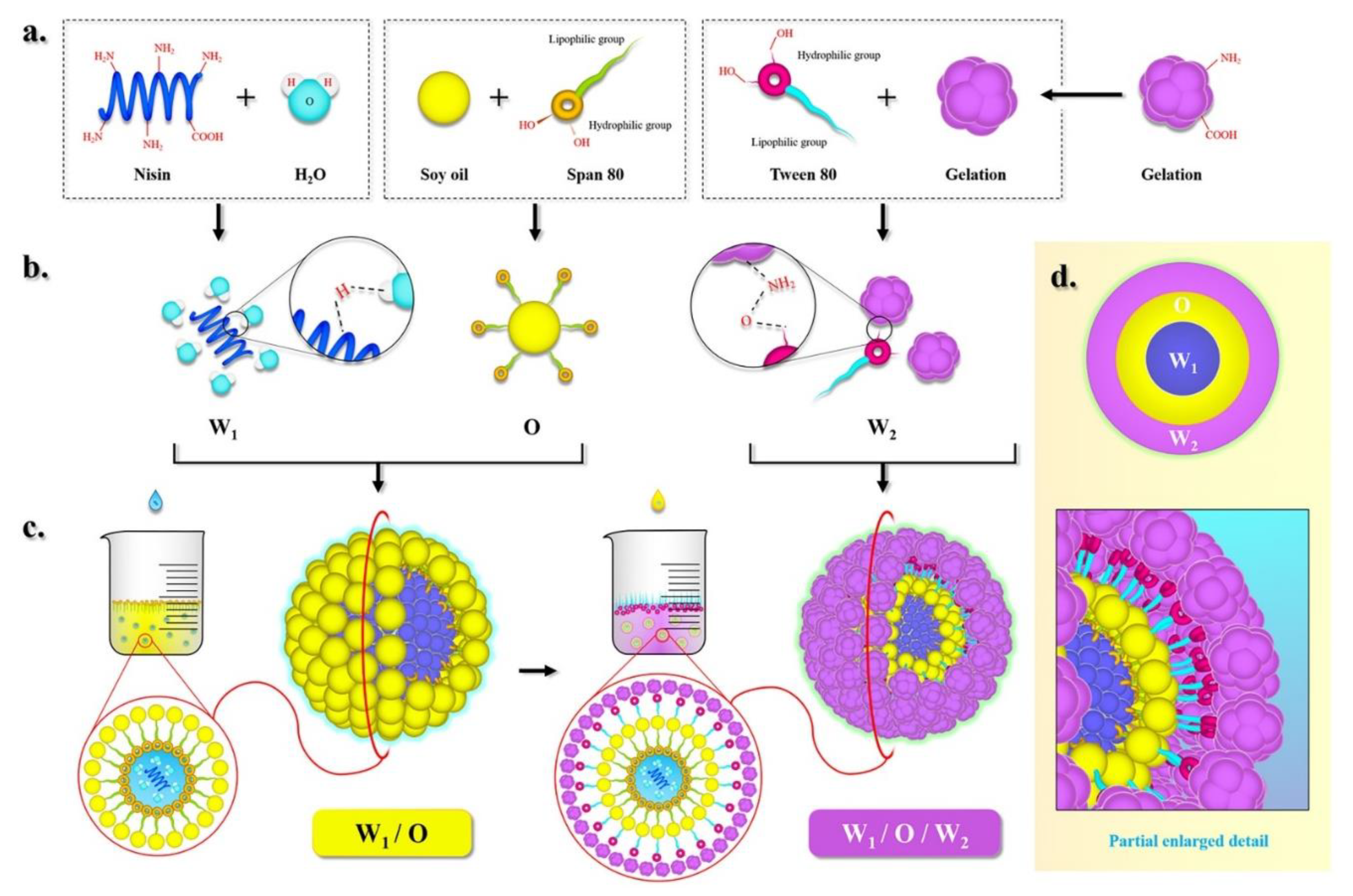 Nanomaterials 10 01803 g001