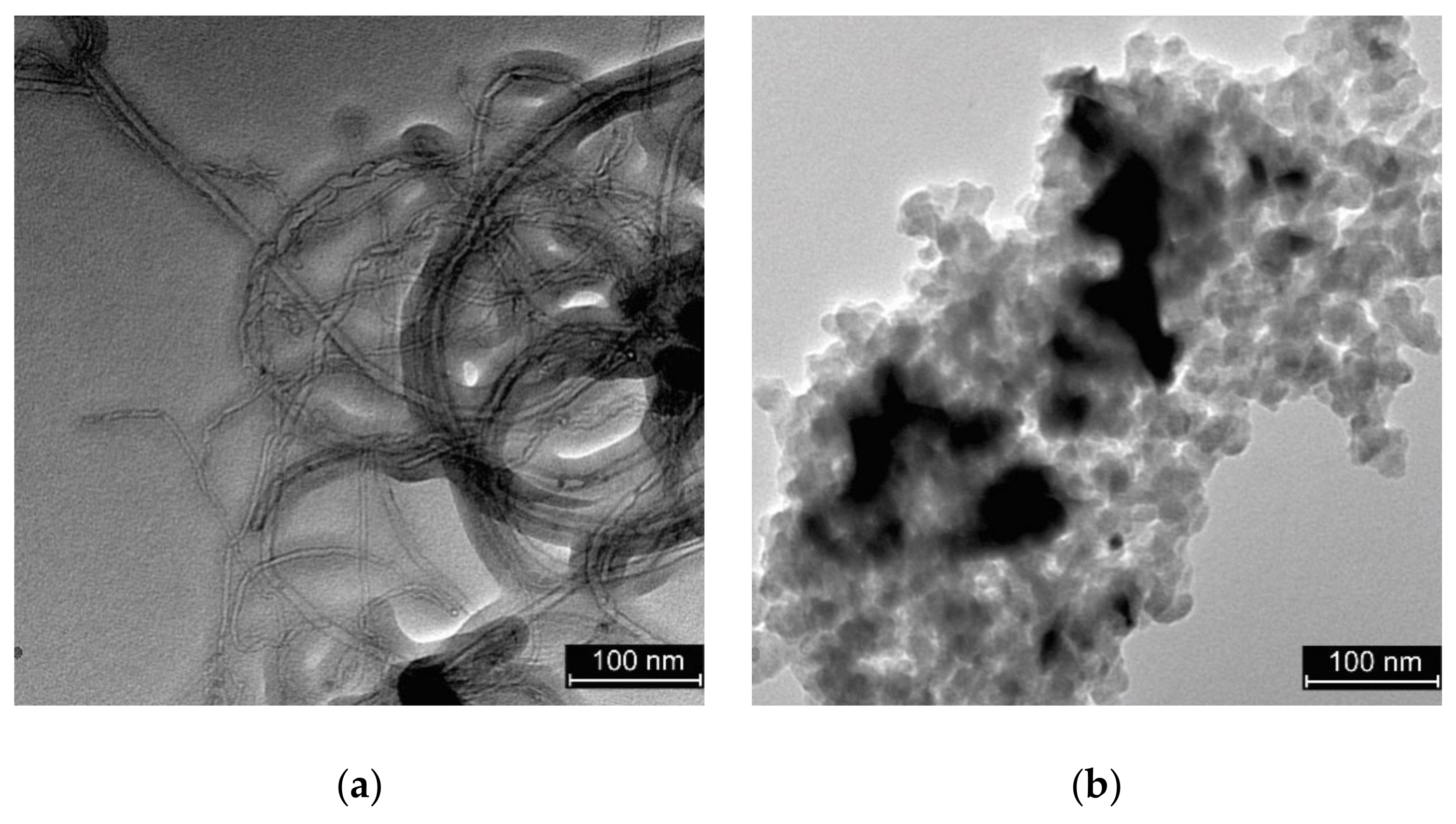 Nanomaterials 10 01805 g001