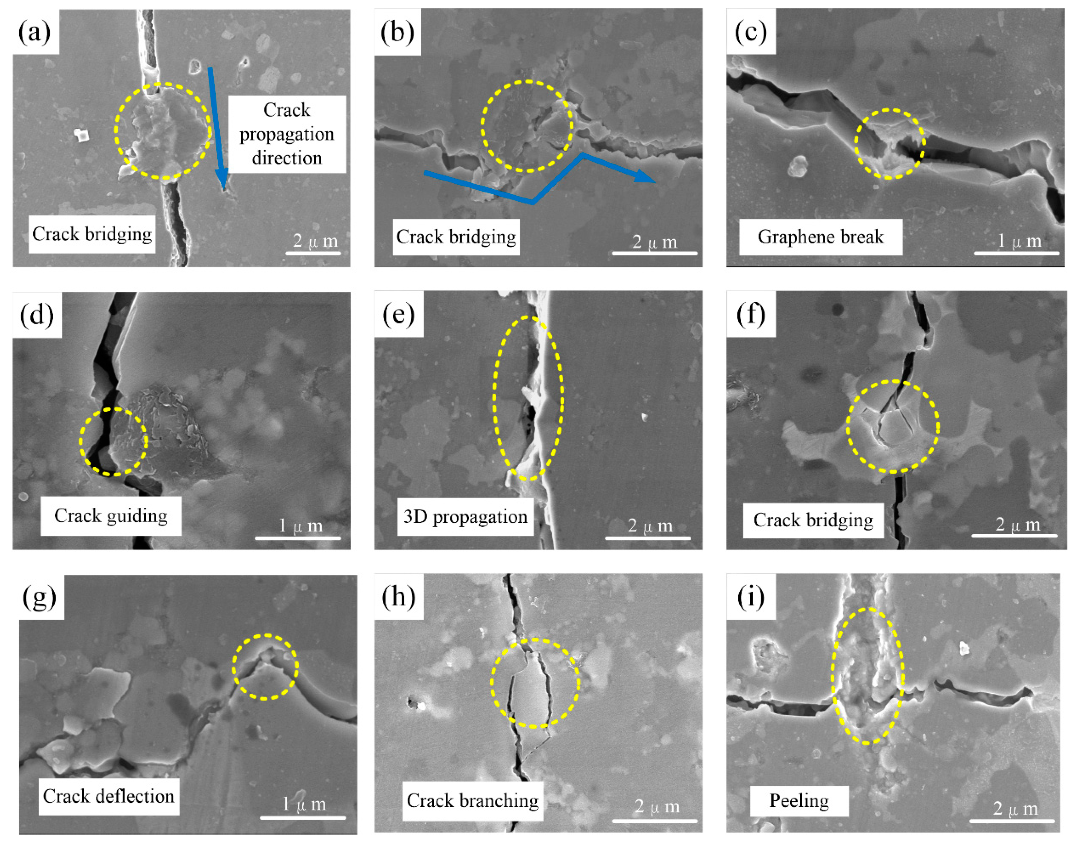 Nanomaterials 10 01815 g010 Nanomaterials 10 01815 g010