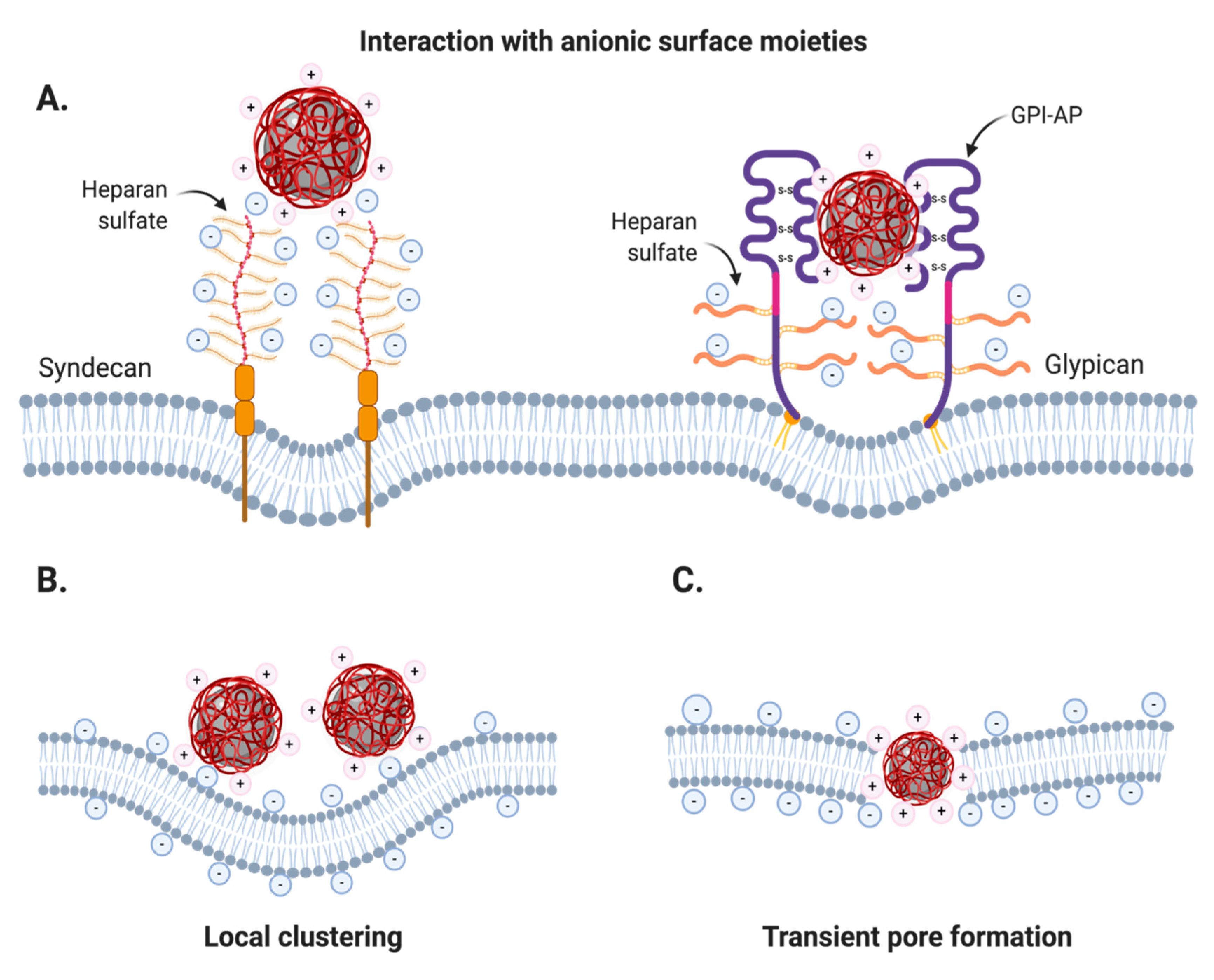 Nanomaterials 10 01816 g002
