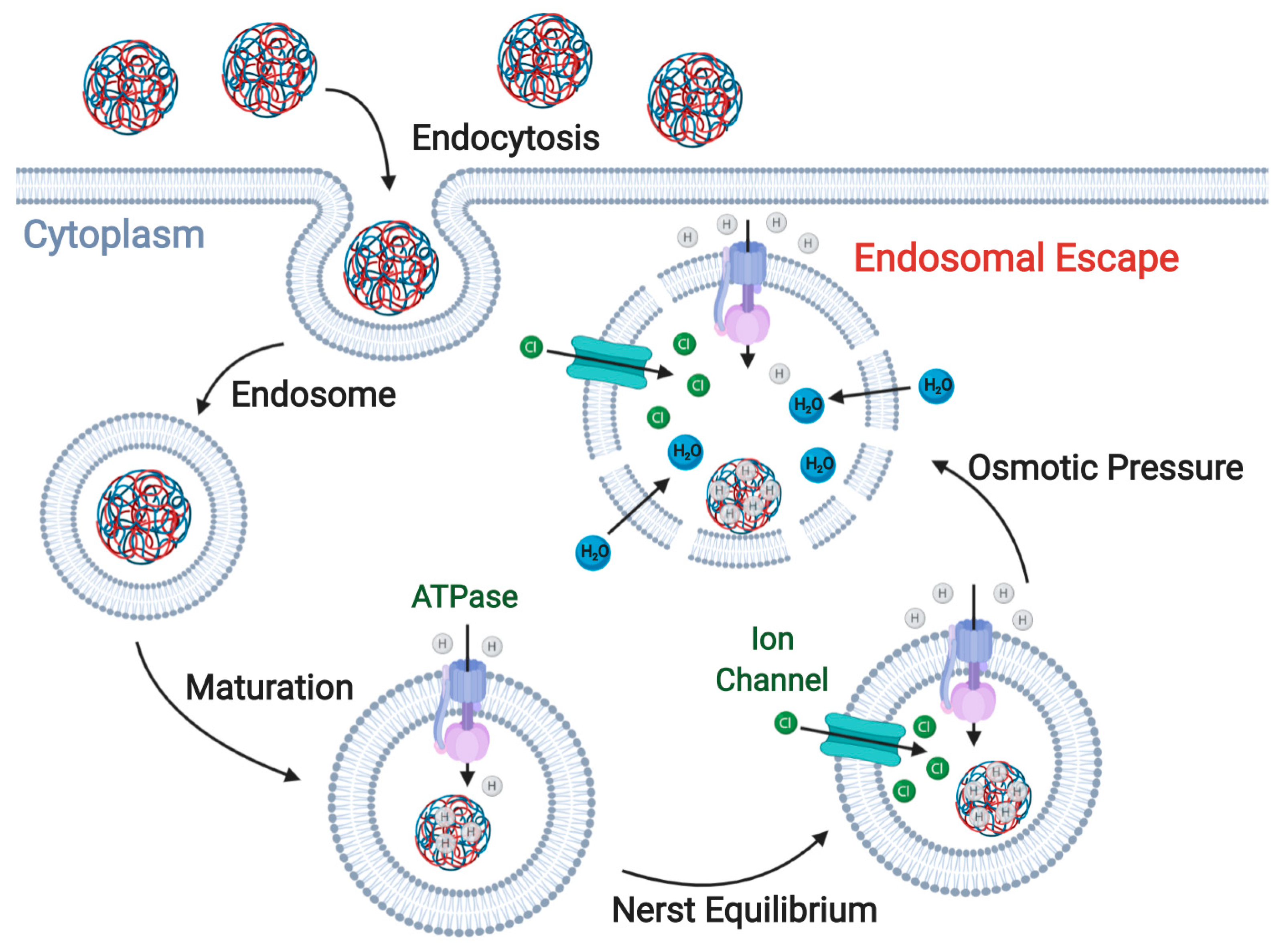 Nanomaterials 10 01816 g004