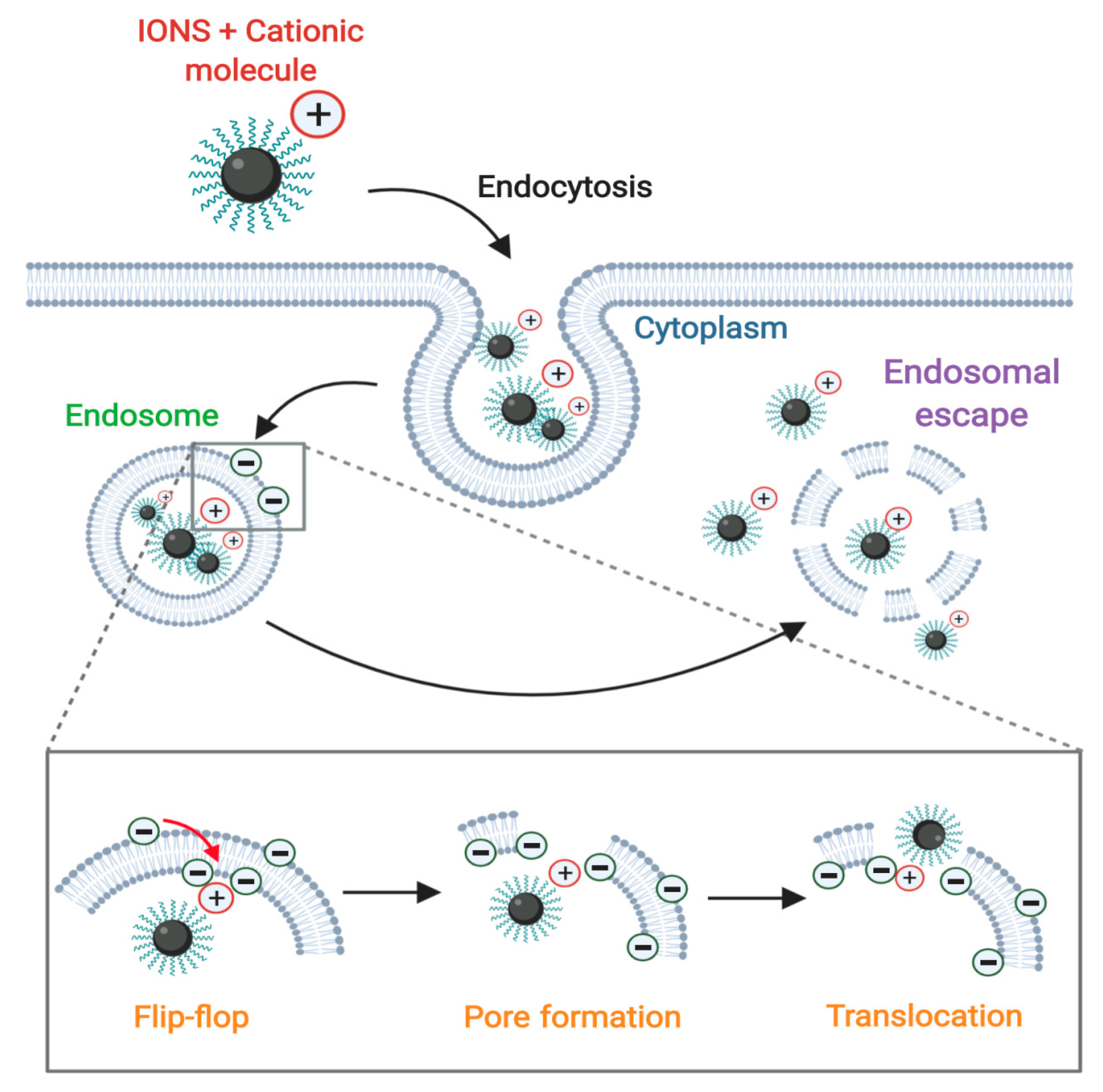 Nanomaterials 10 01816 g005