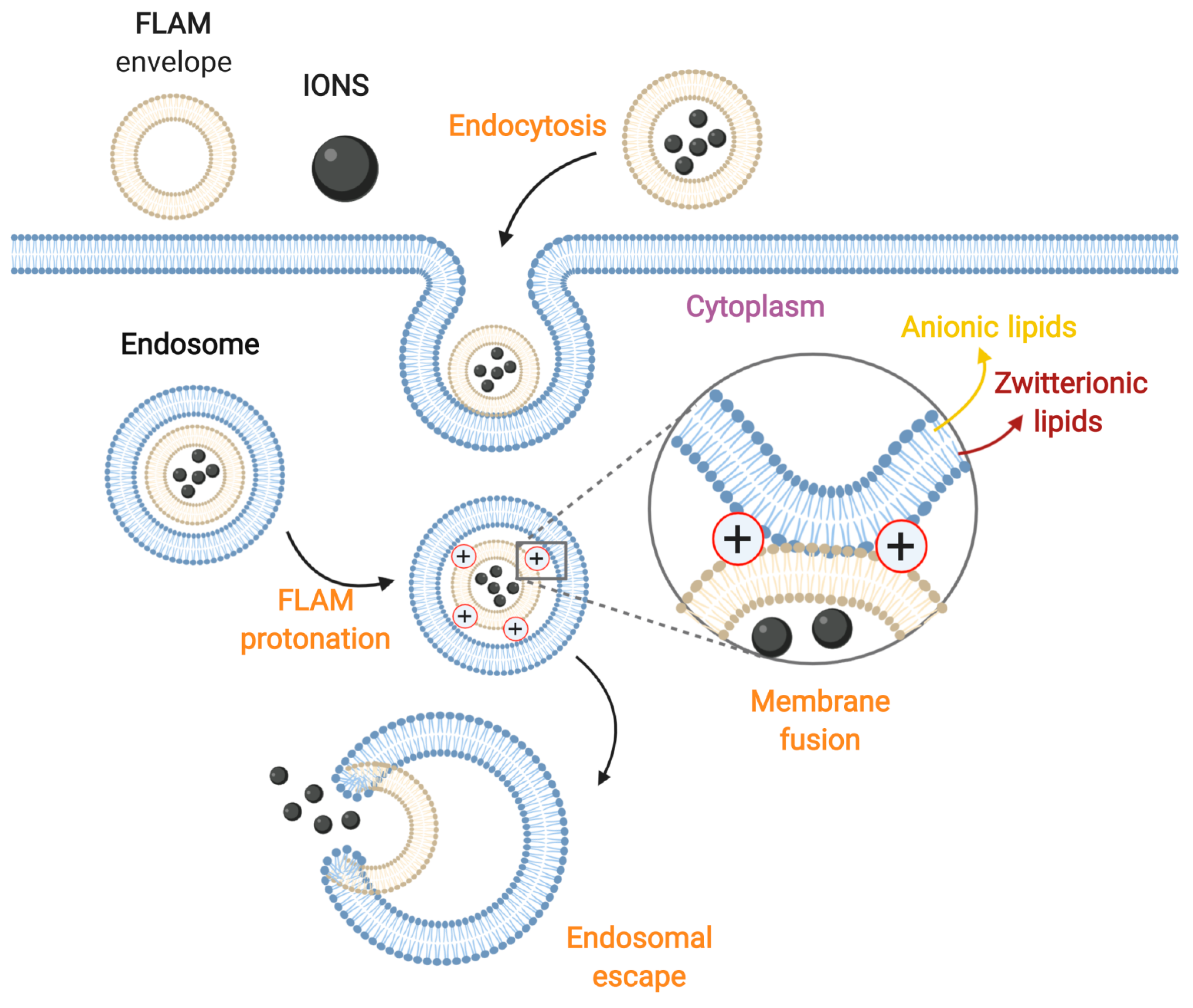 Nanomaterials 10 01816 g006