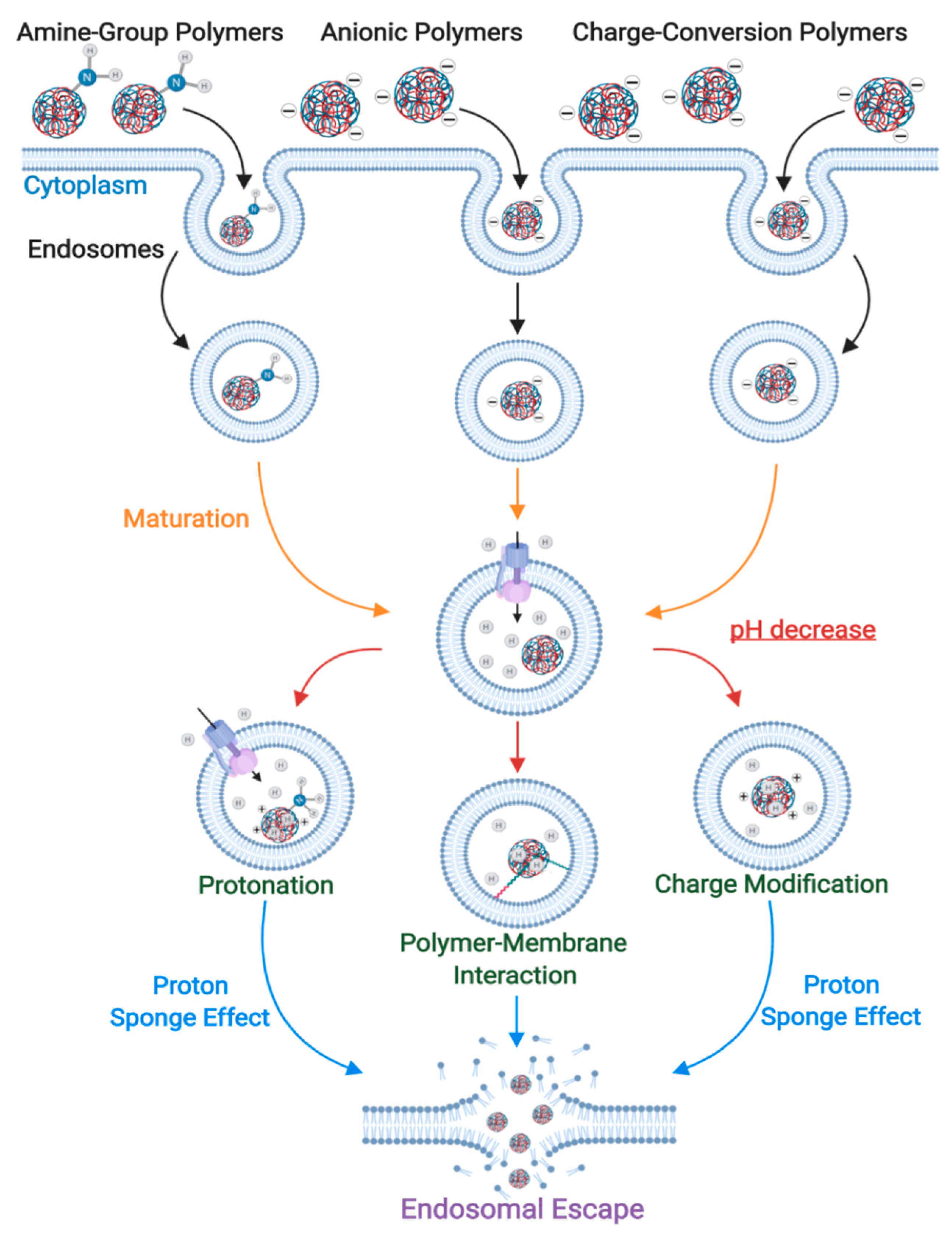 Nanomaterials 10 01816 g007