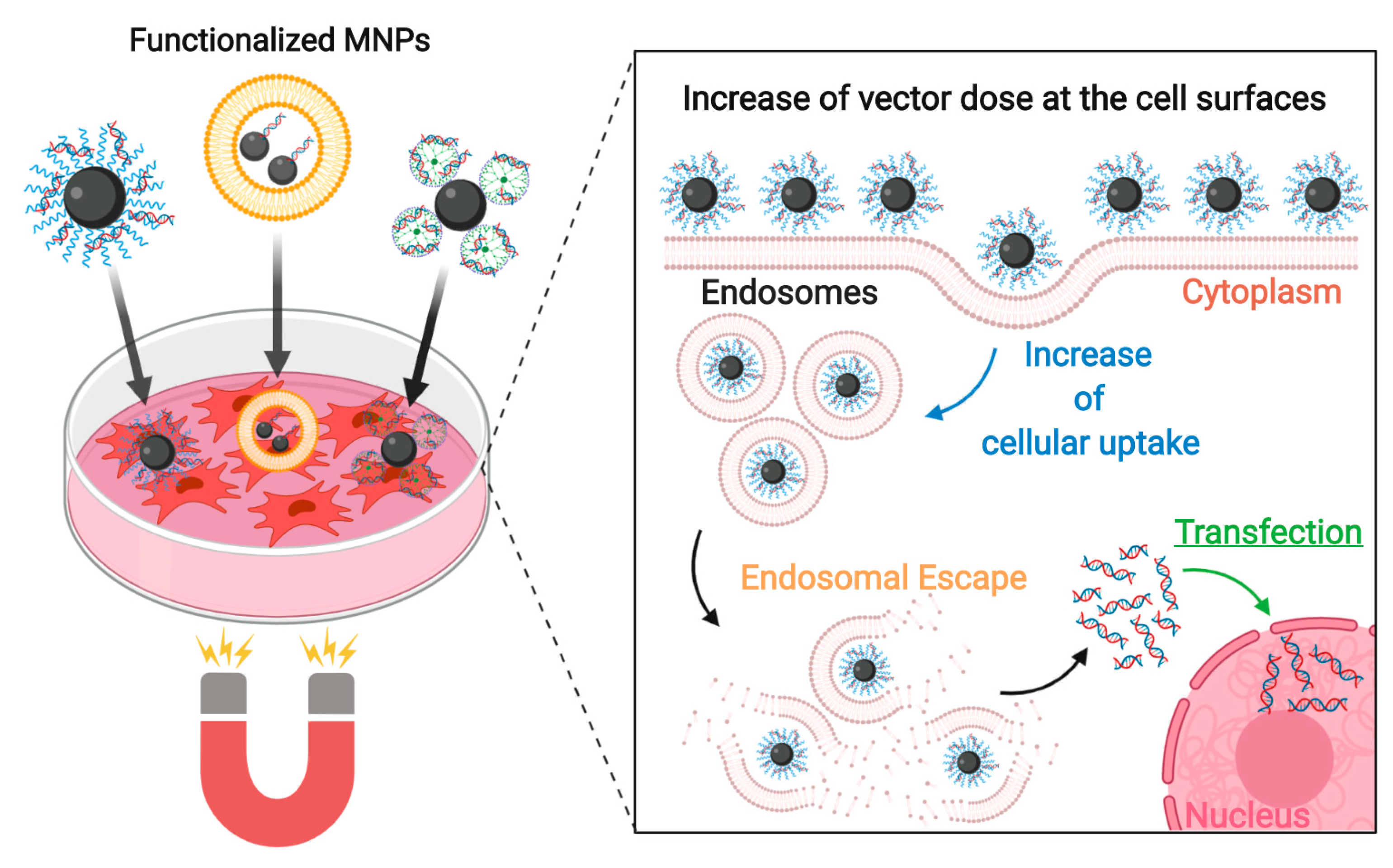 Nanomaterials 10 01816 g012