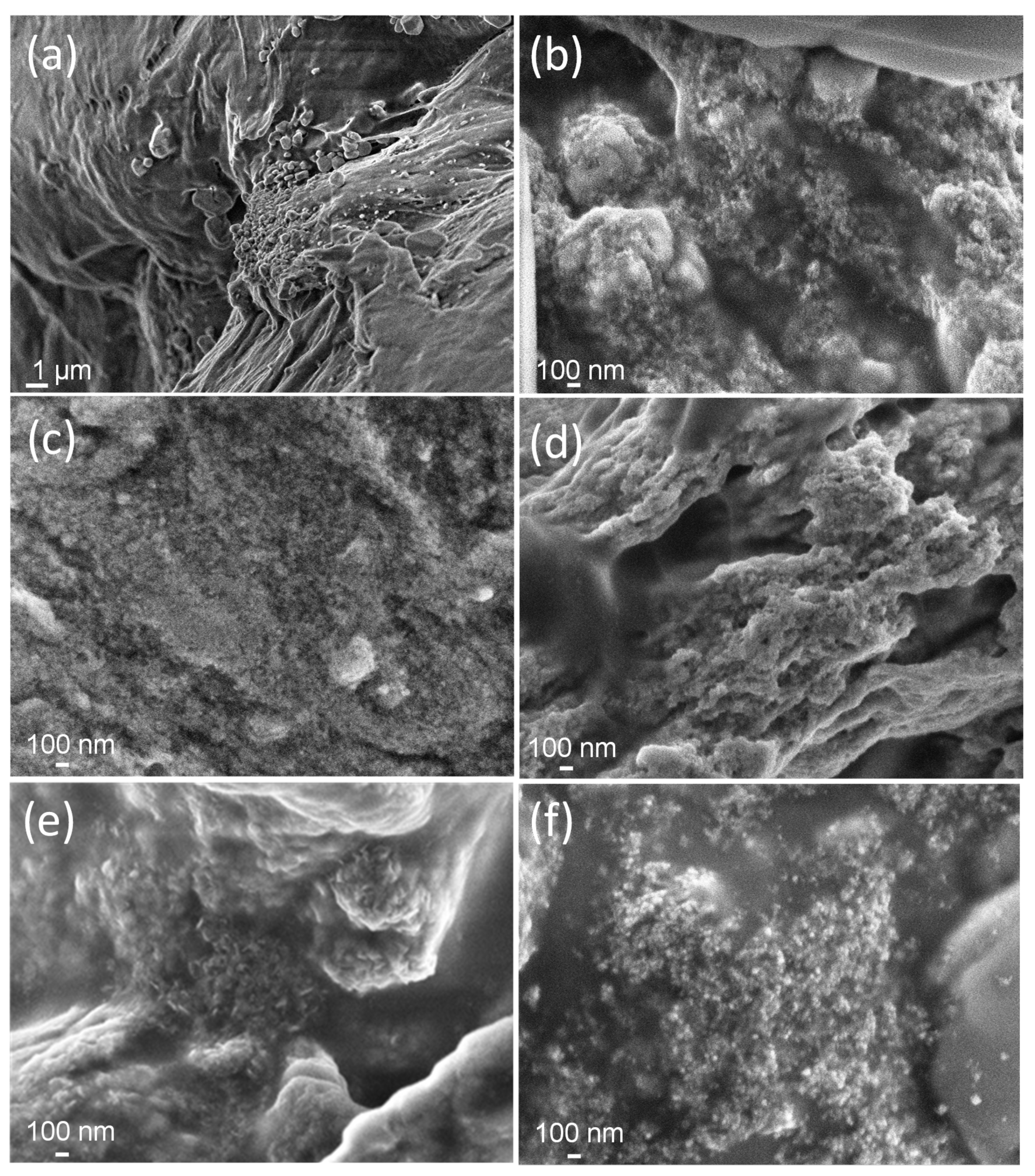 Nanomaterials 10 01823 g004 Nanomaterials 10 01823 g004