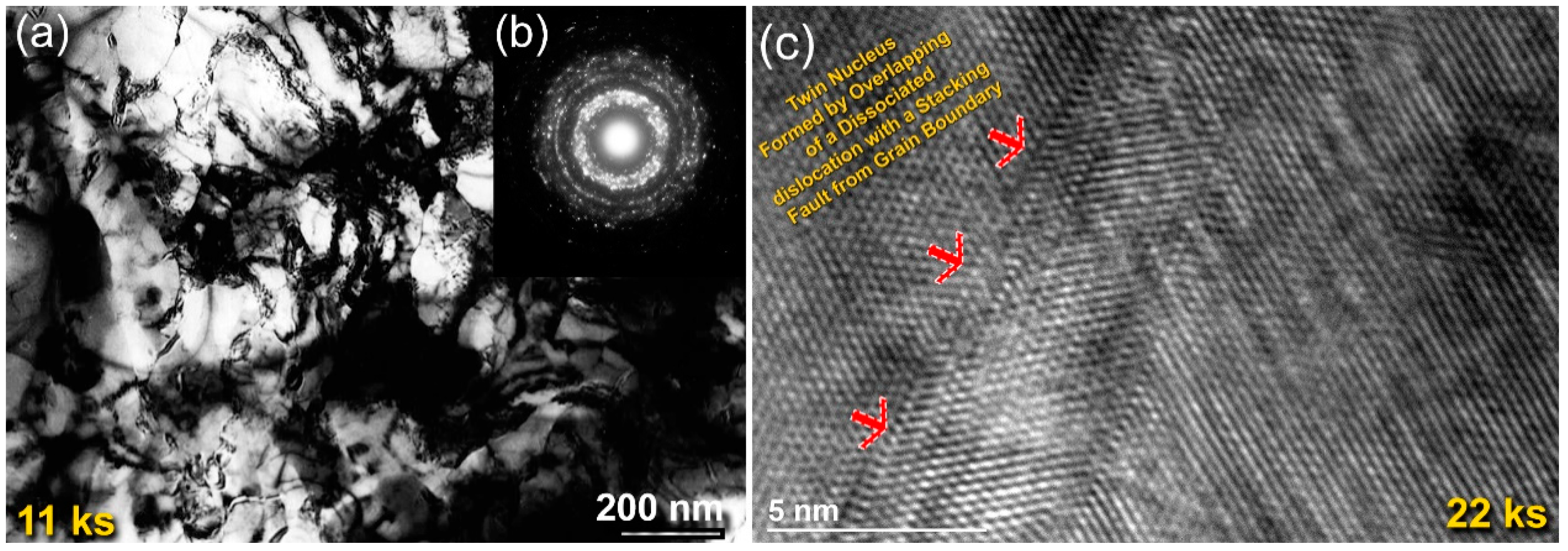 Nanomaterials 10 01826 g002