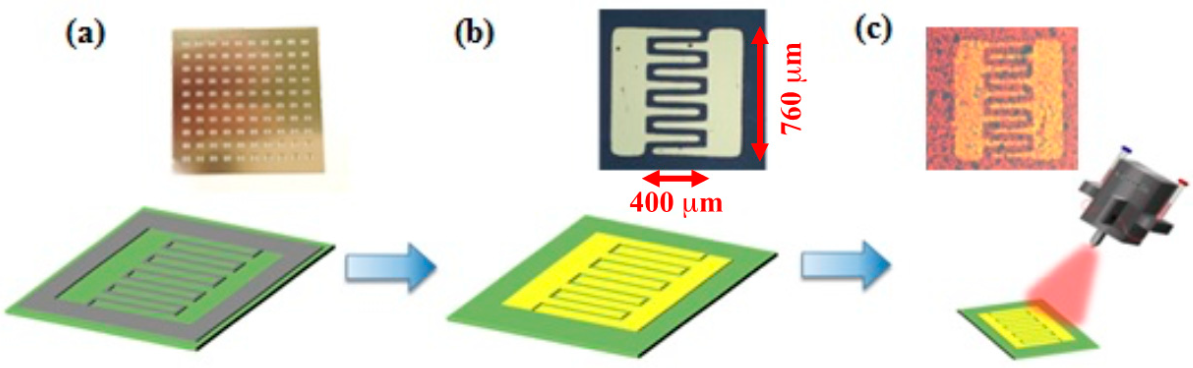 Nanomaterials 10 01828 g001
