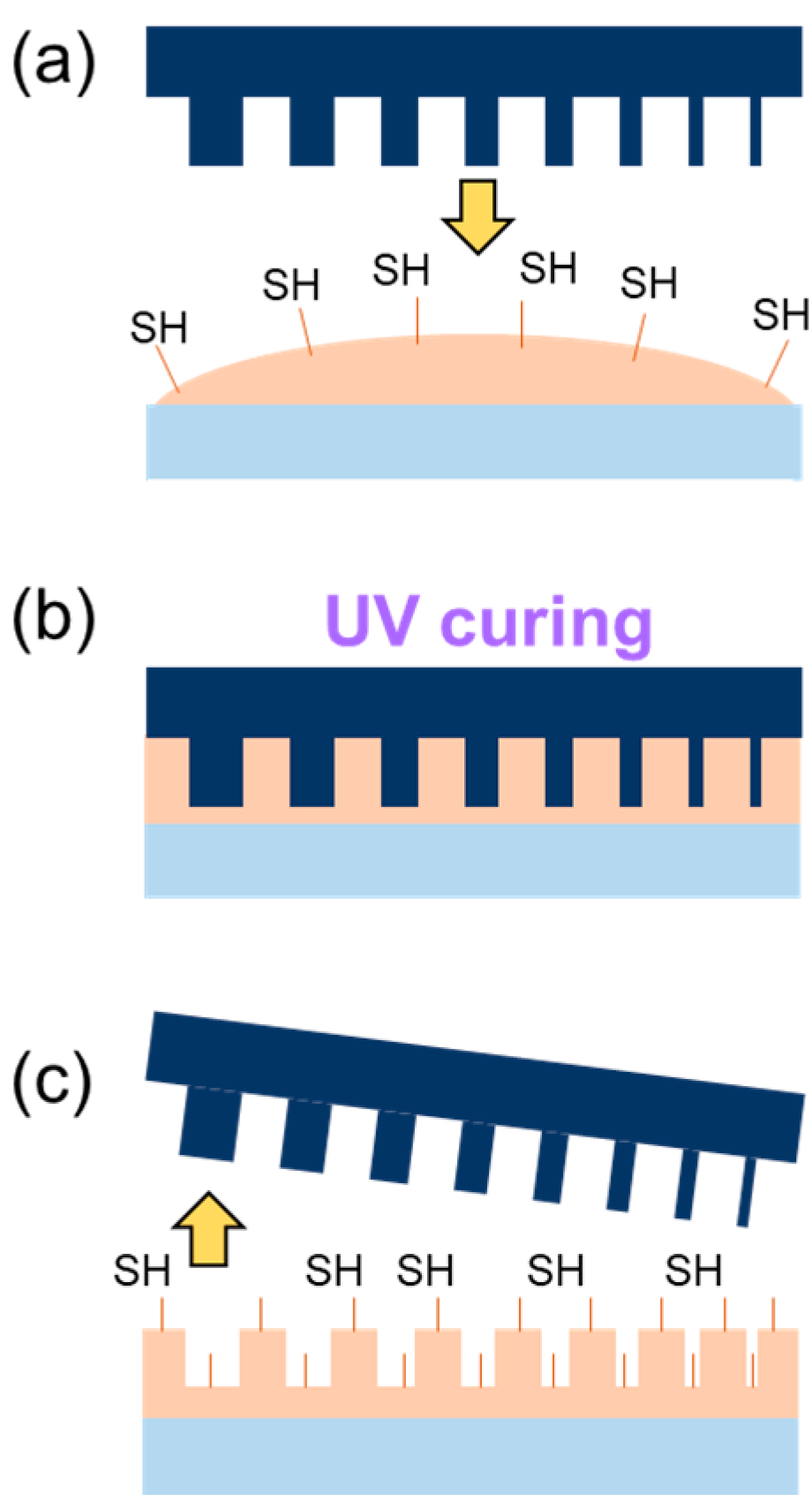 Nanomaterials 10 01829 g001