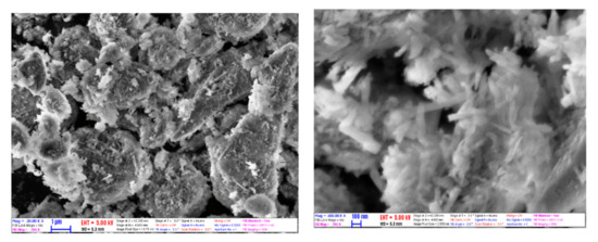 Nanomaterials 10 01834 g002 550